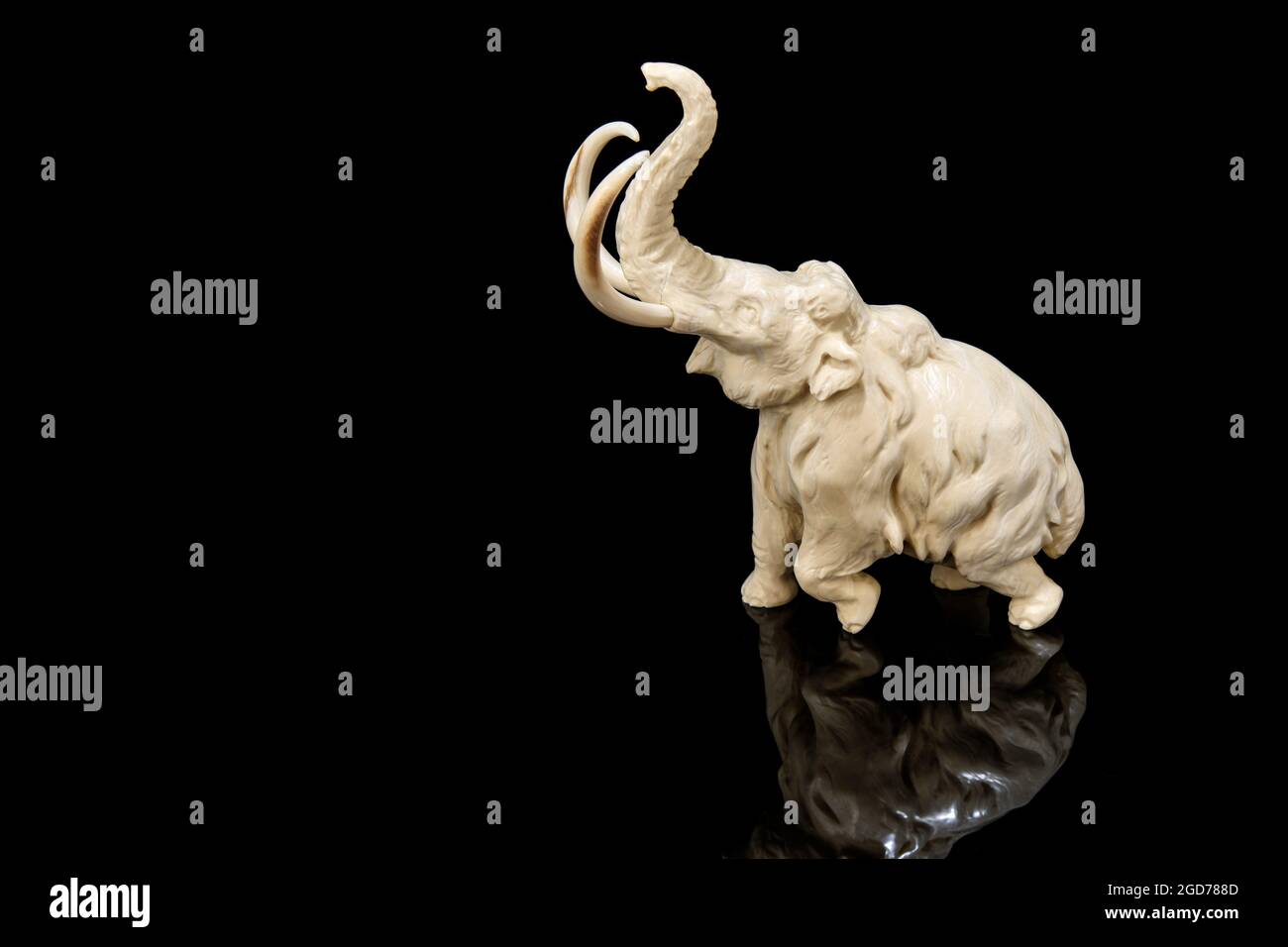 ivory statuette of elephant mammoth on black background with reflection ...