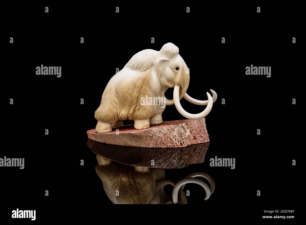 ivory statuette of elephant mammoth on black background with reflection ...