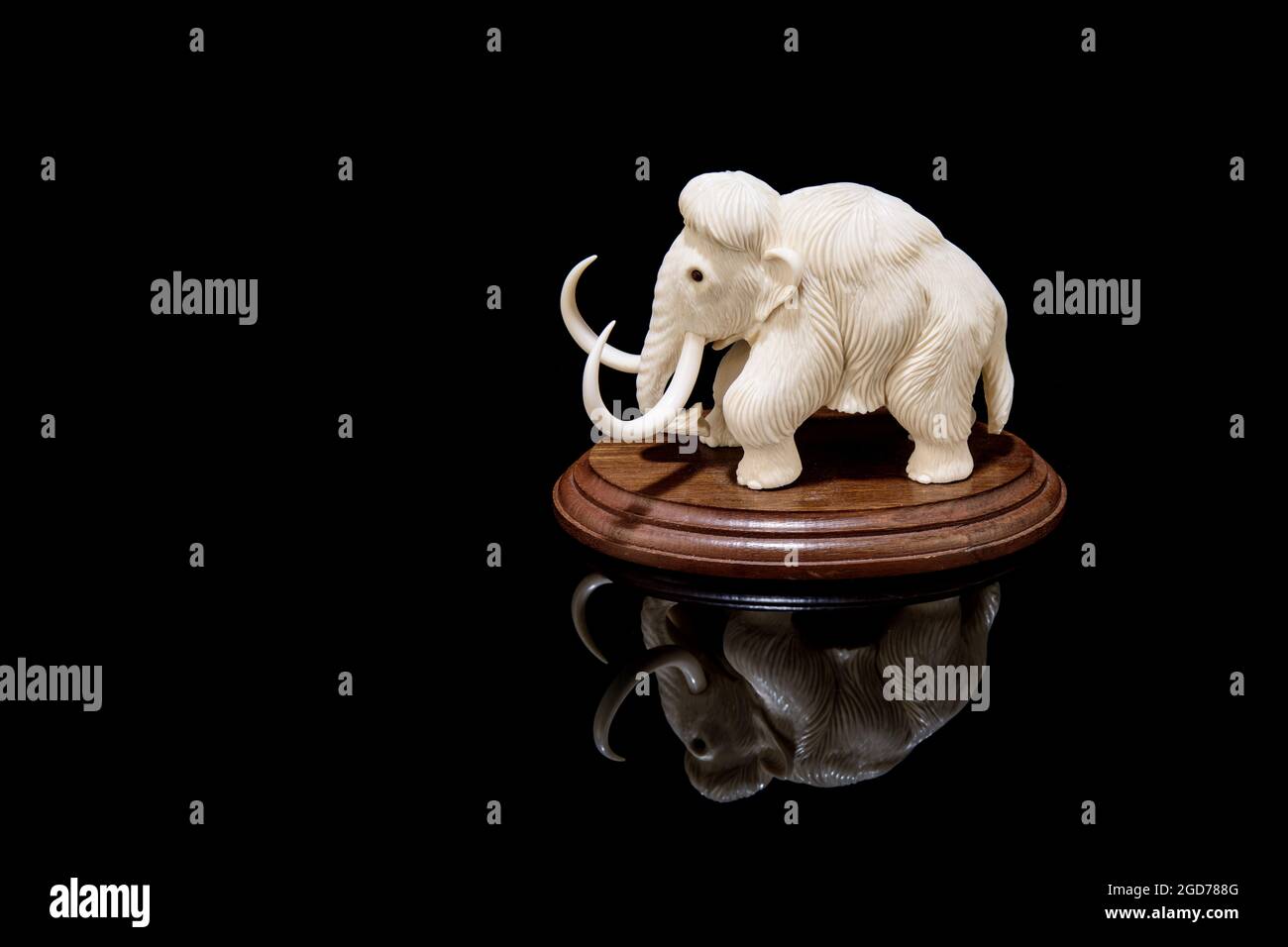 ivory statuette of elephant mammoth on black background with reflection. carved with a gouge from old bone. authentic decorative figure for interior. Stock Photo