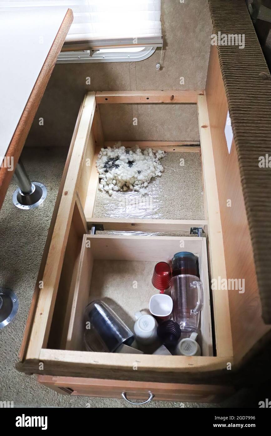 A mouse nest build in the seat section of a 5th wheel Stock Photo