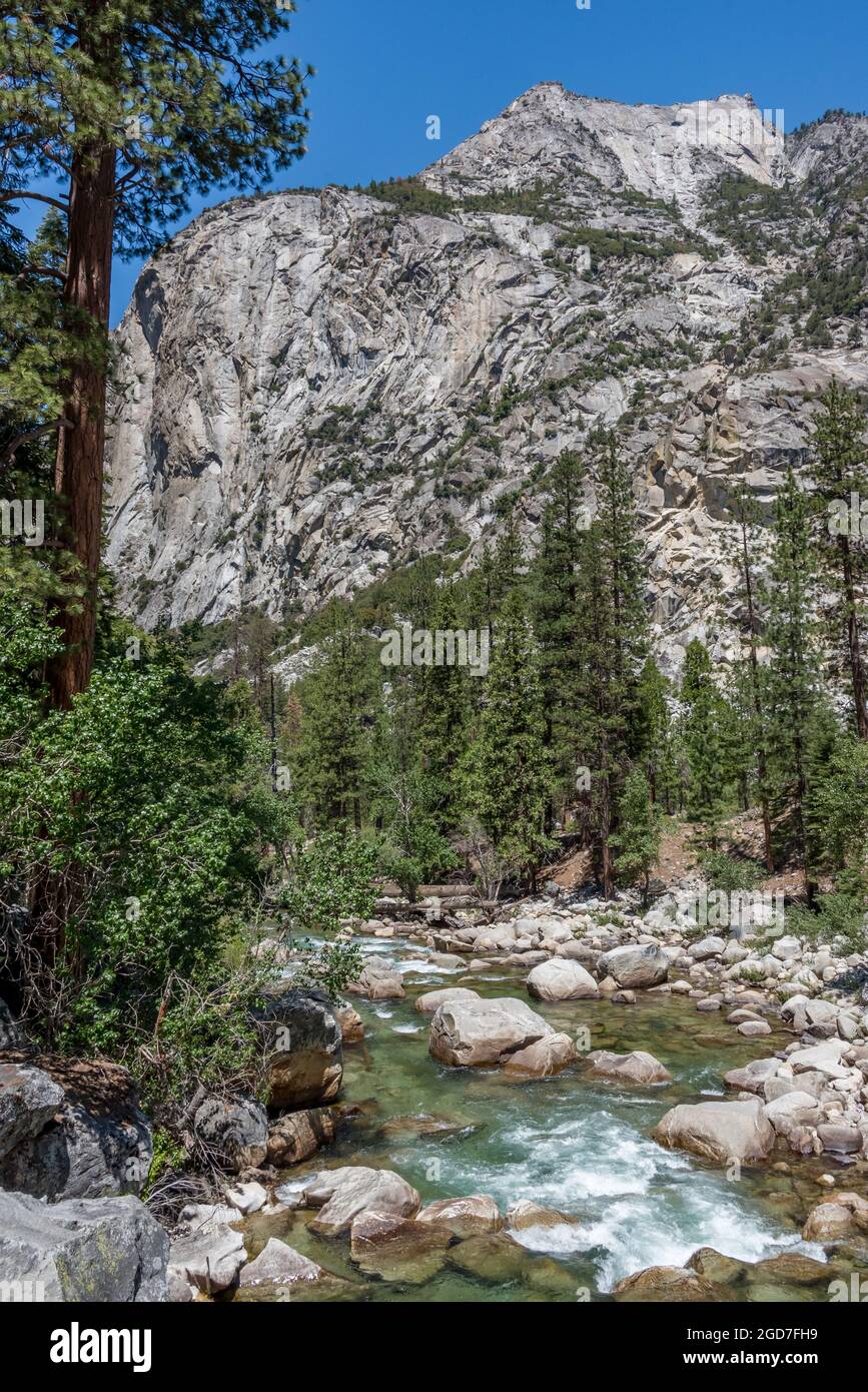 Fly fishing in kings river hires stock photography and images Alamy