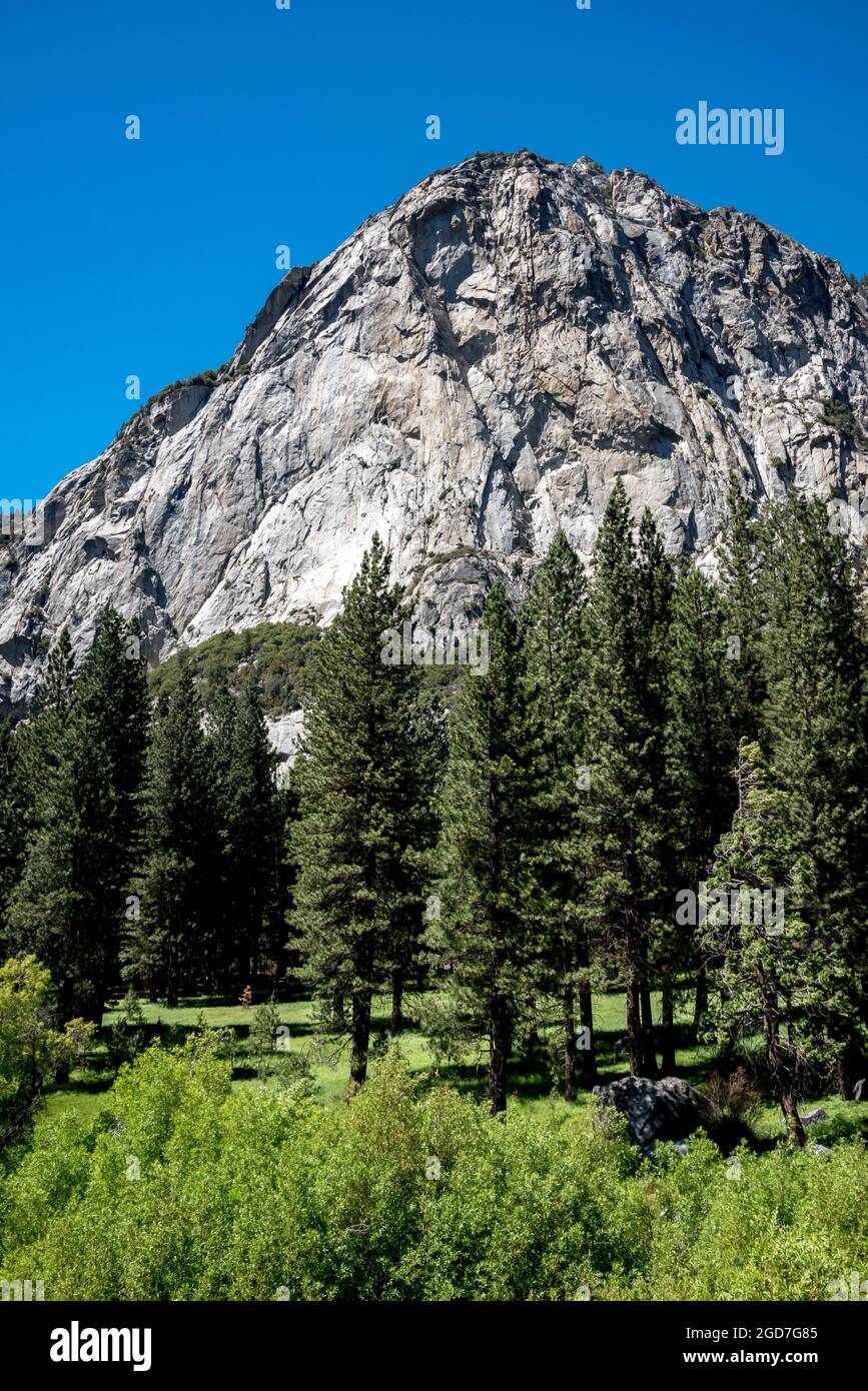 View of towering North Dome above Zumwalt Meadow from the hiking trail near Road's End in Kings Canyon National Park. This granite dome is a popular r Stock Photo