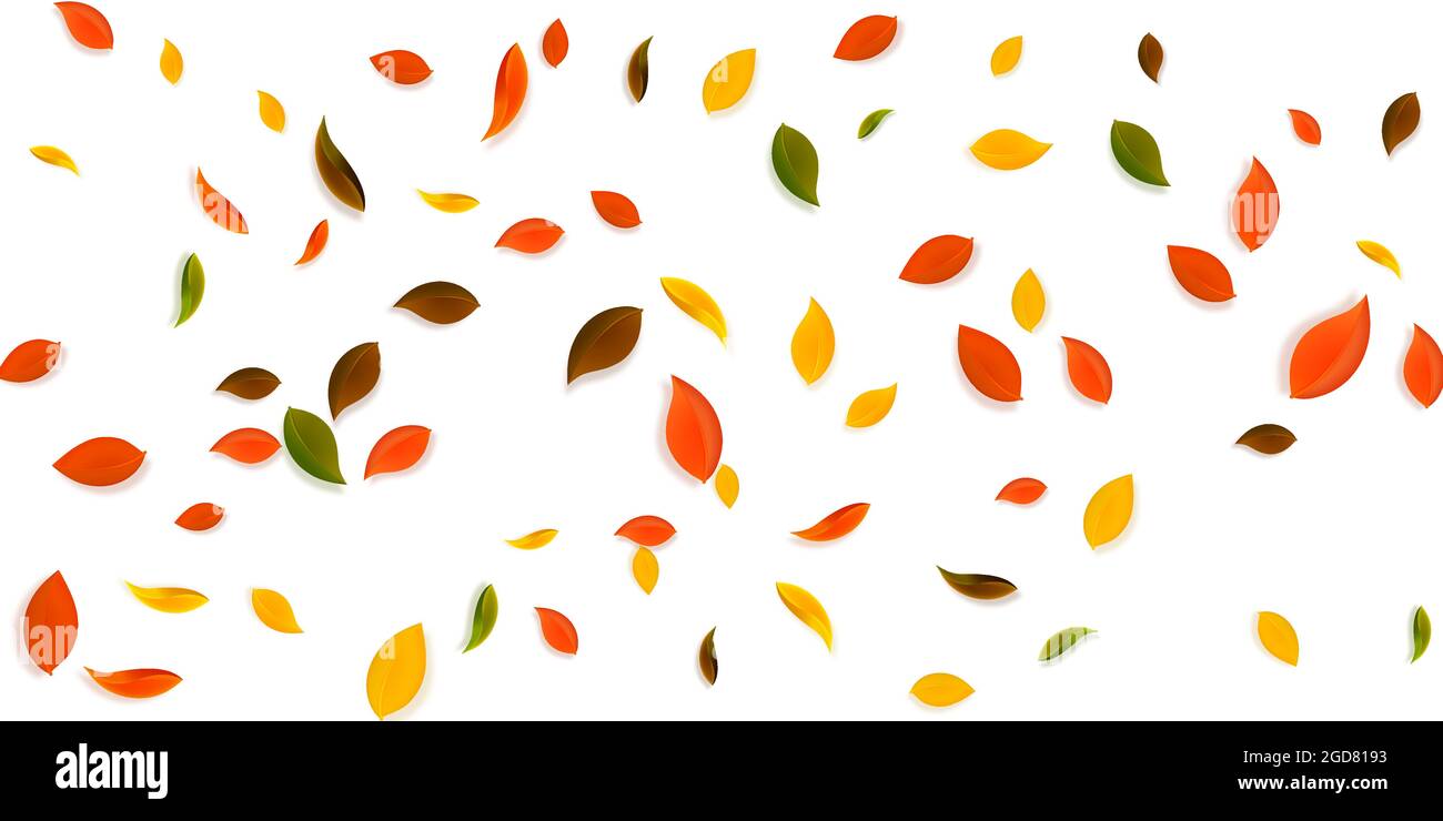 Falling autumn leaves. Red, yellow, green, brown chaotic leaves flying ...