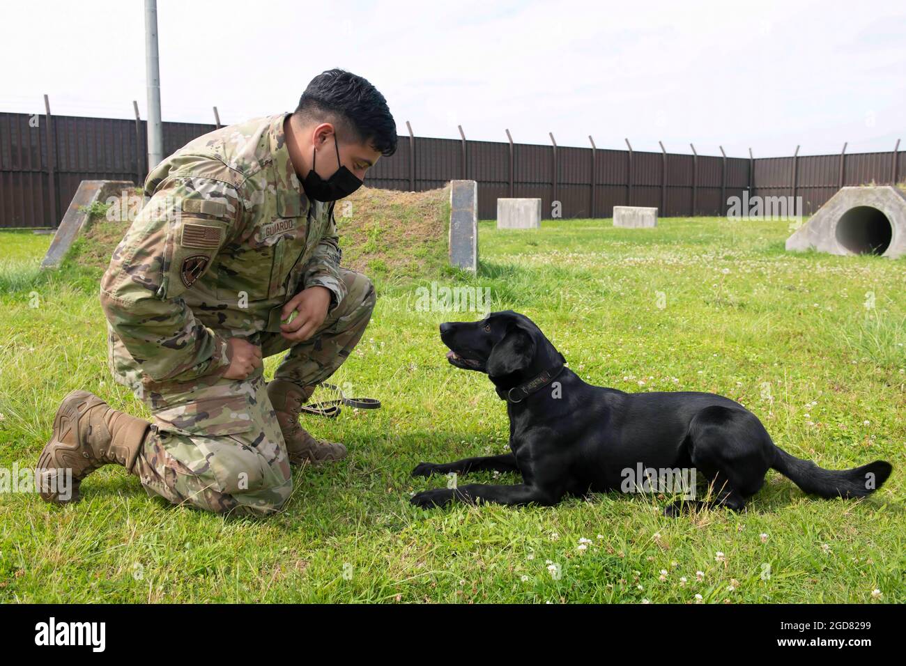Staff Sgt. Miguel Guajardo, 374th Security Forces Squadron military working dog handler, kneels near Splash, 374th SFS MWD, at Yokota Air Base, Japan, June 11, 2021. With the acquisition of Splash and another MWD, the 374th SFS went from a year-long shortage in manpower for MWDs to an overage. (U.S. Air Force photo by Staff Sgt. Joshua Edwards) Stock Photo