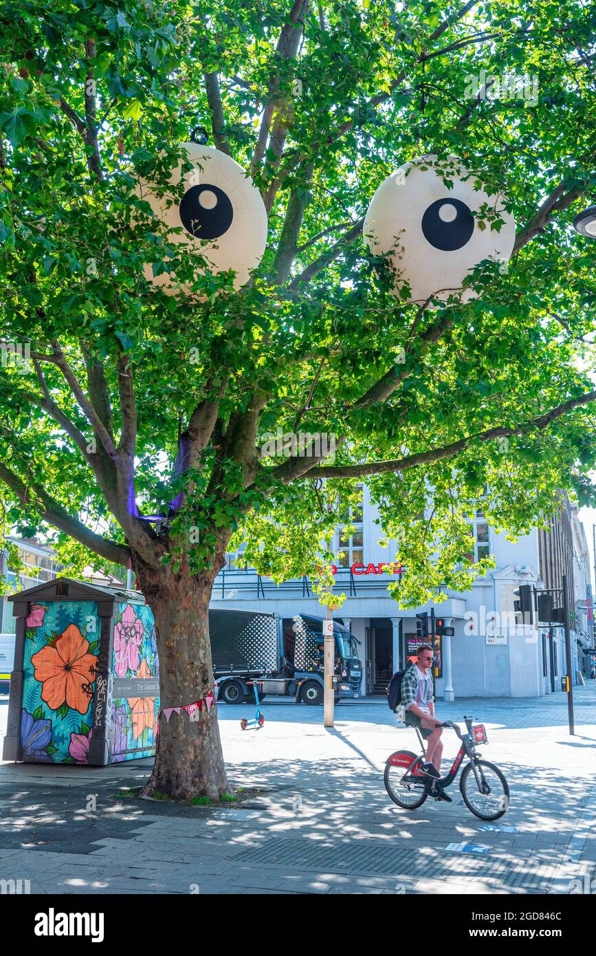 Giant inflatable googly eyes seen on a tree across central London