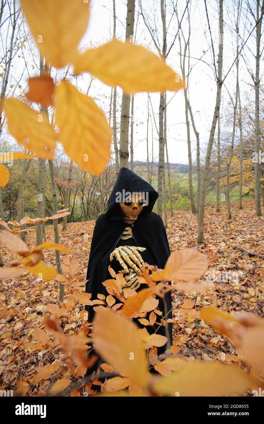 Death in the autumn forest.skull halloween costume. Halloween and horror .Autumn traditional masquerade and carnival.  Stock Photo