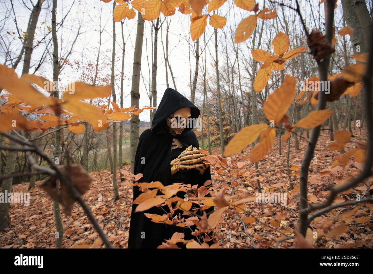 Death in the autumn forest.skull halloween costume. Halloween and horror concept.Autumn traditional masquerade and carnival. Death in the autumn Stock Photo