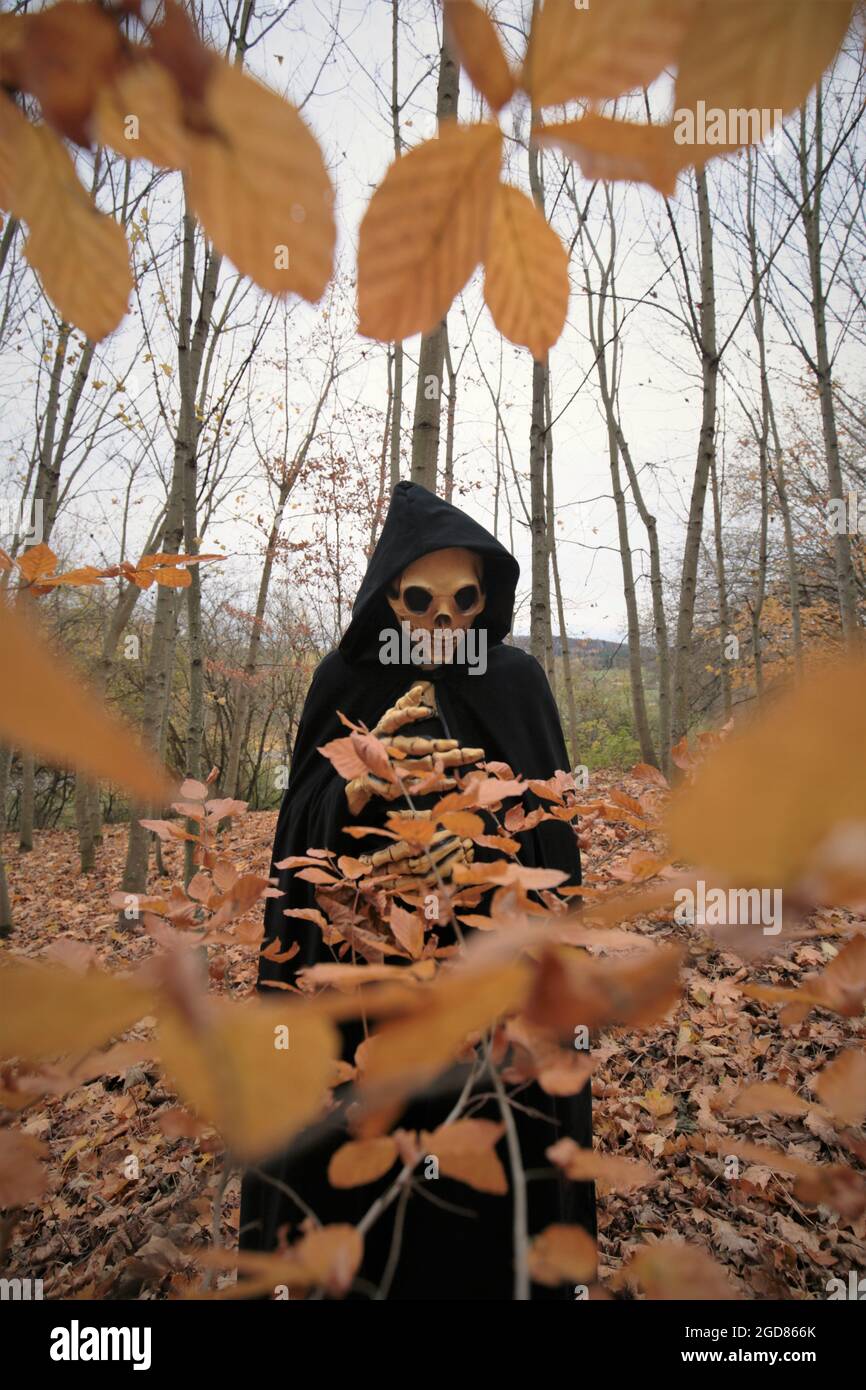 Death in the autumn forest.skull halloween costume. Halloween and horror.Autumn traditional masquerade and carnival. Death in the autumn forest.  Stock Photo