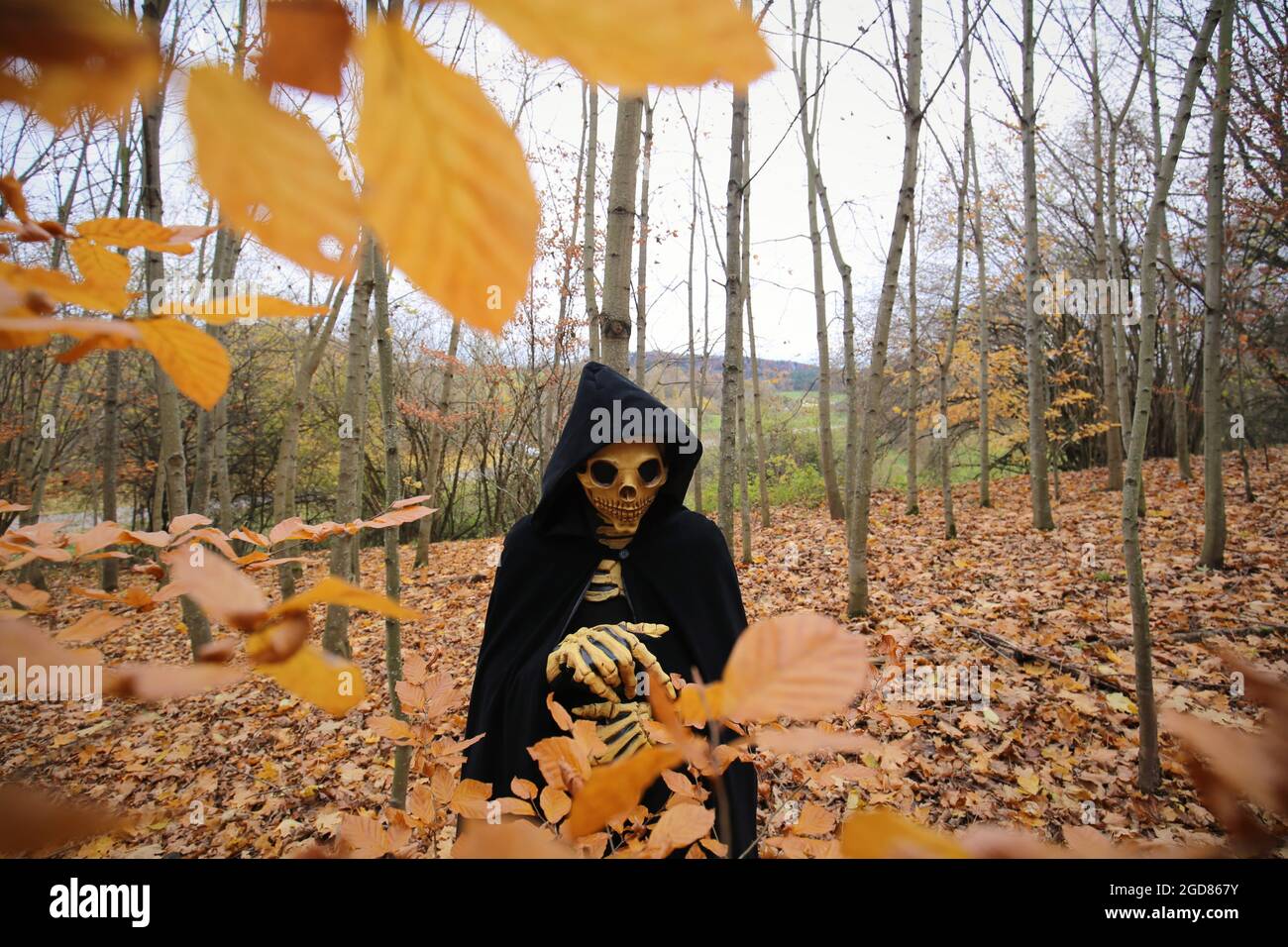 Death in the autumn forest.skull halloween costume. Halloween .Autumn traditional masquerade and carnival. Death in the autumn forest. Skeleton Stock Photo
