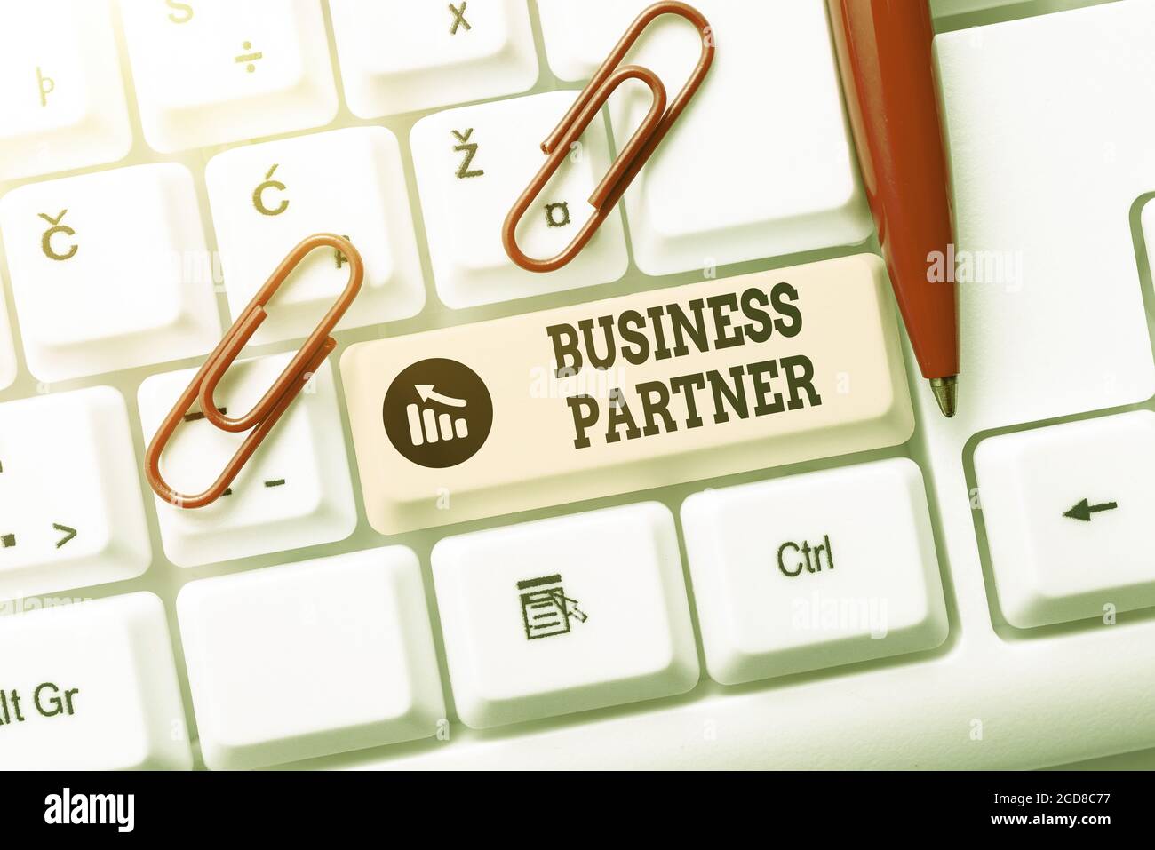 COMMERCIAL PARTNER MEANING IN HINDI visual data 4