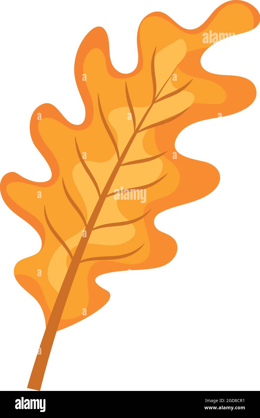 autumn oak leaf Stock Vector Image & Art - Alamy