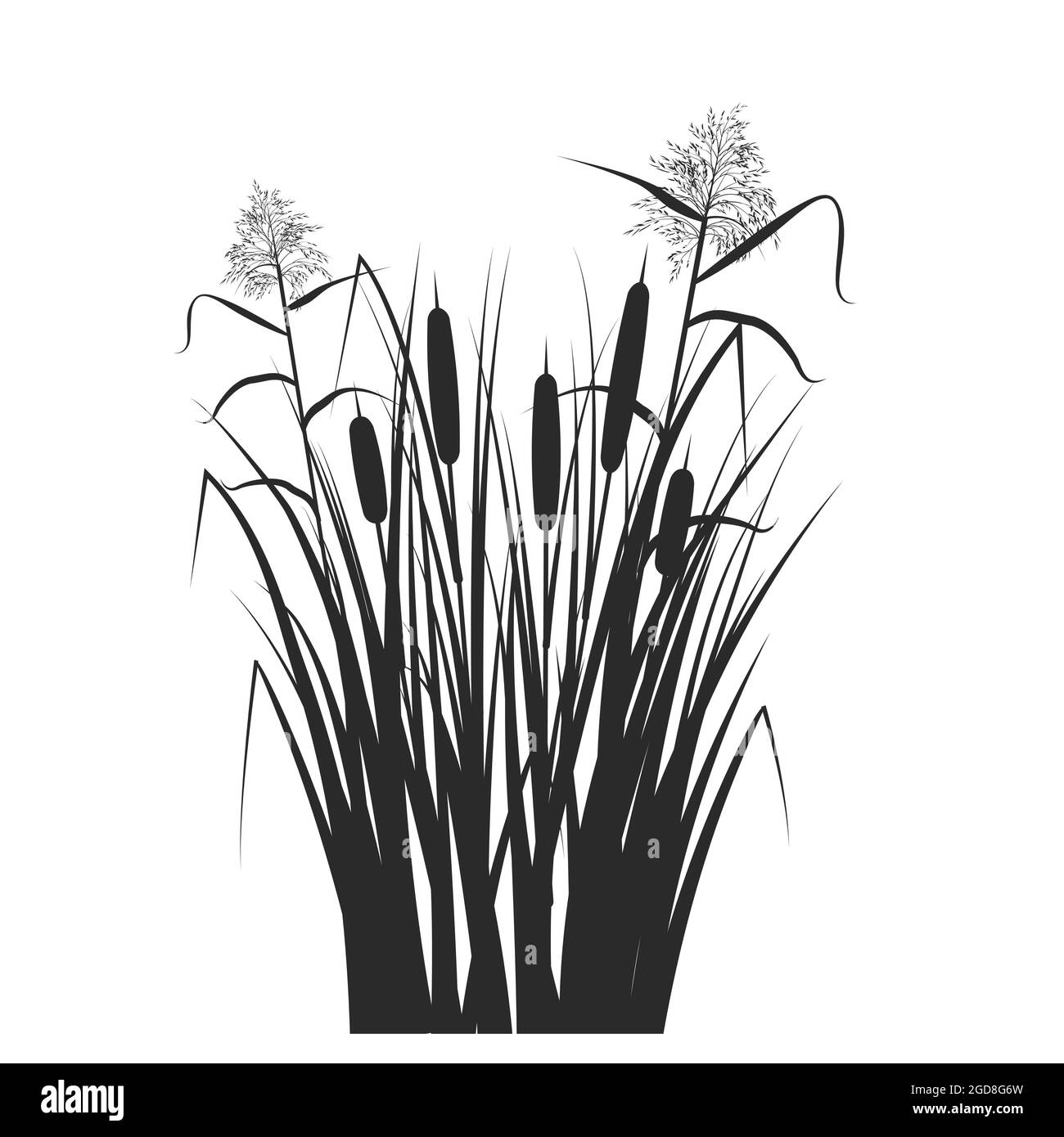 Silhouette of reed and cane in green grass. Swamp and river plants. Vector flat illustration. Stock Vector