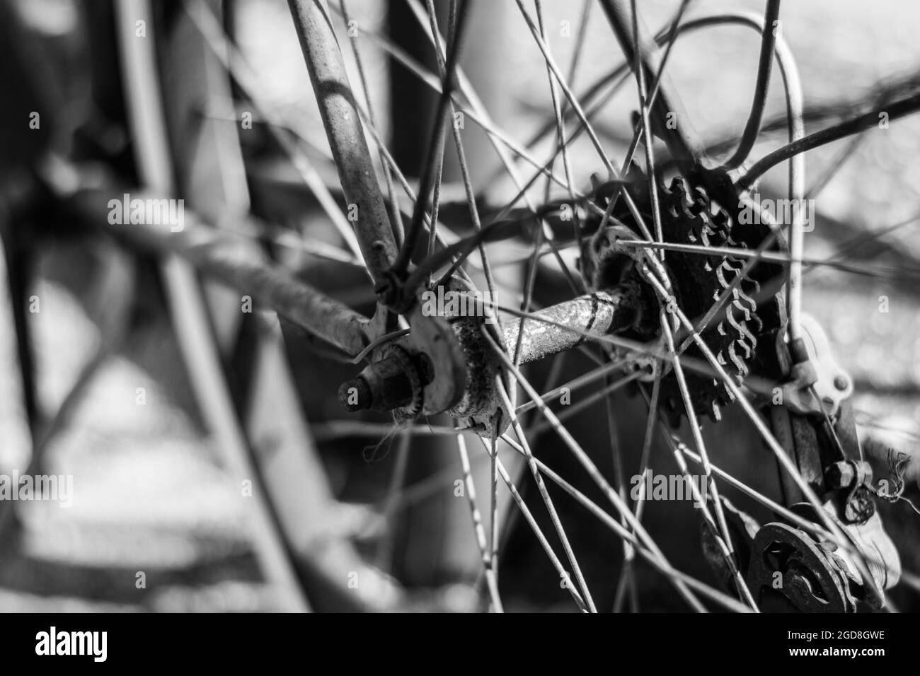 Cycle cycling cyclist Black and White Stock Photos & Images - Alamy