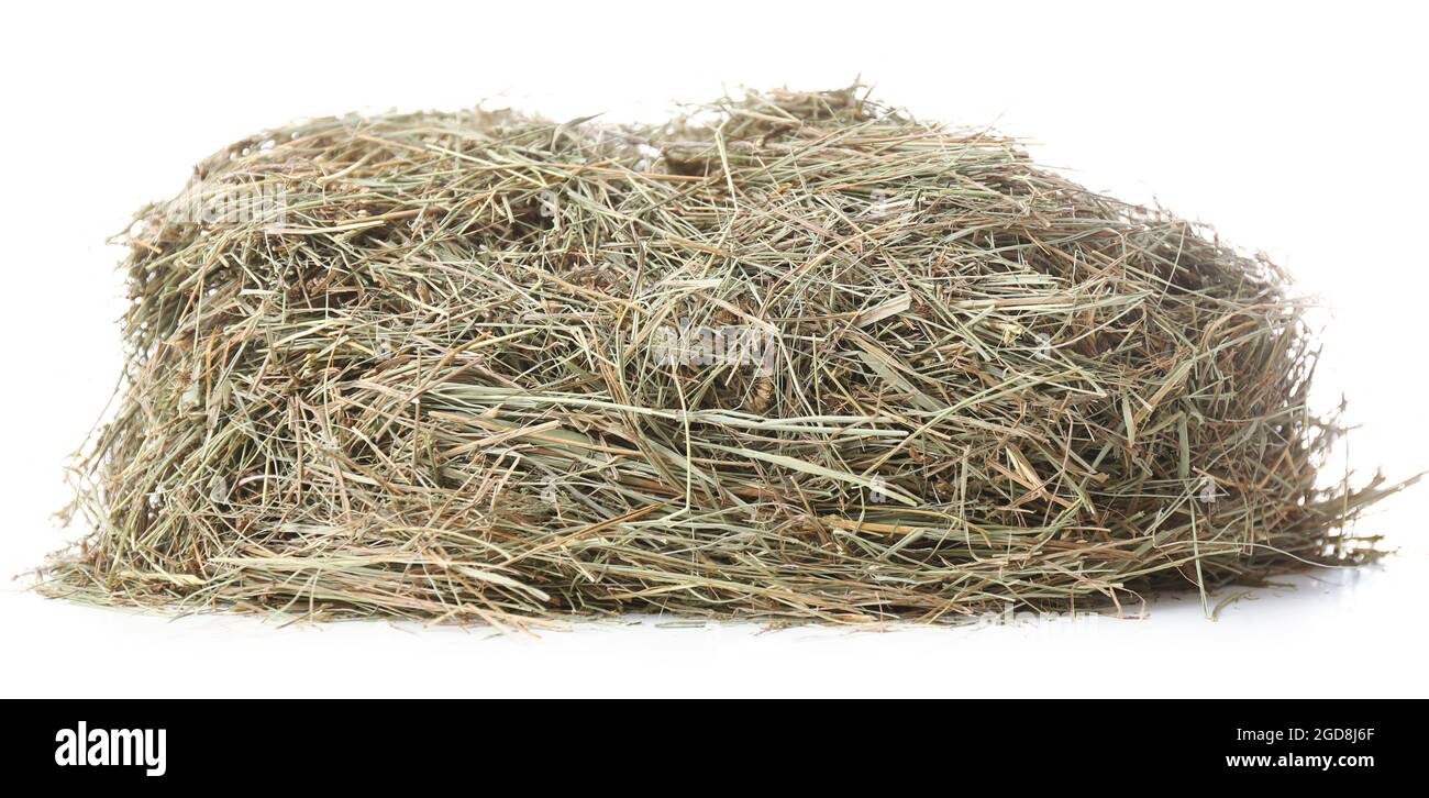 Square Hay Bale Cut Out Stock Images Pictures Alamy Square Hay Bale Cut Out Stock Images Pictures Alamy