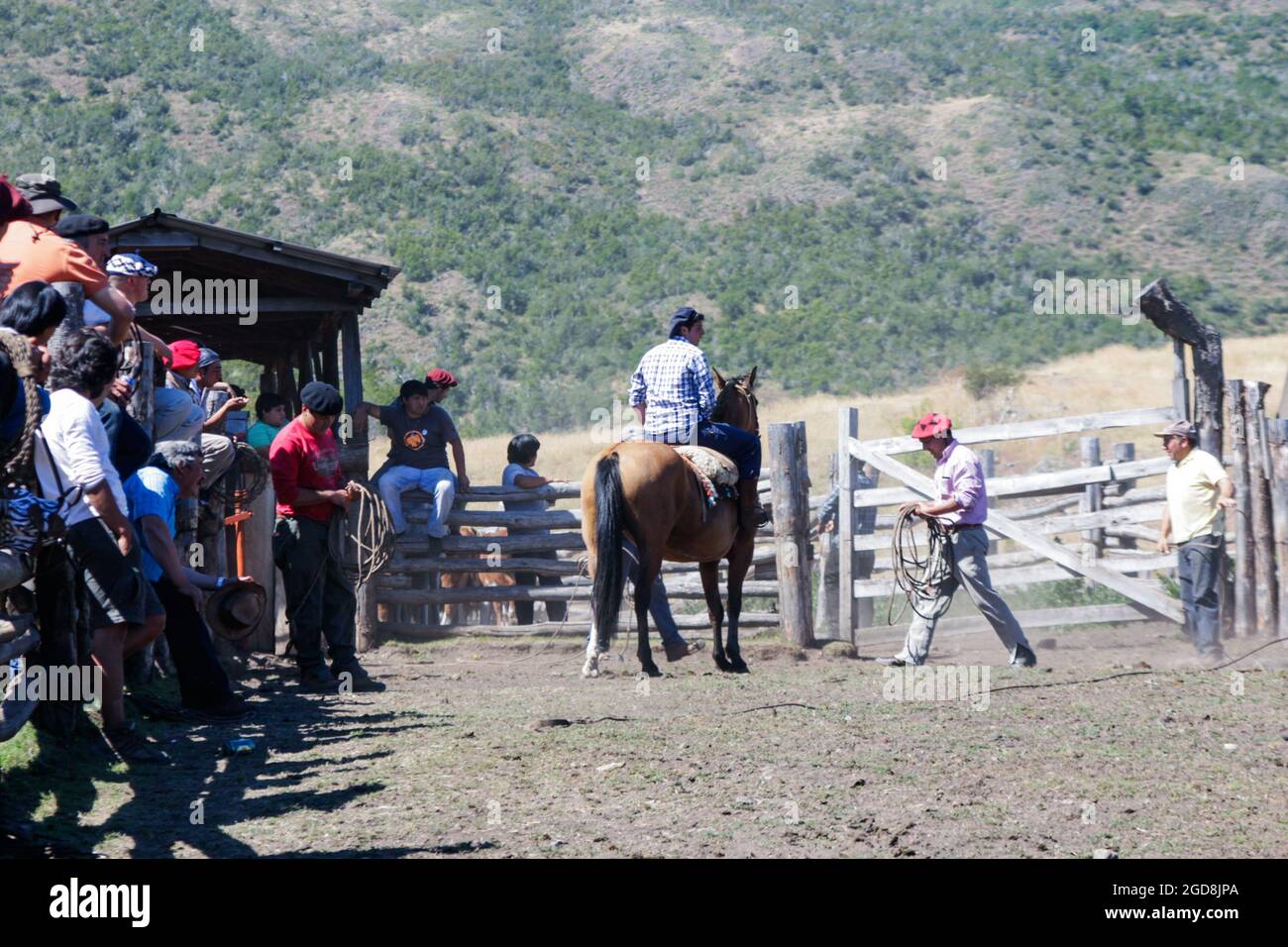 COCHRANE, CHILE - Jan 31, 2016: Gaucho on horseback prior to the start of the ride . Patagonia. Region de Aysen. Stock Photo