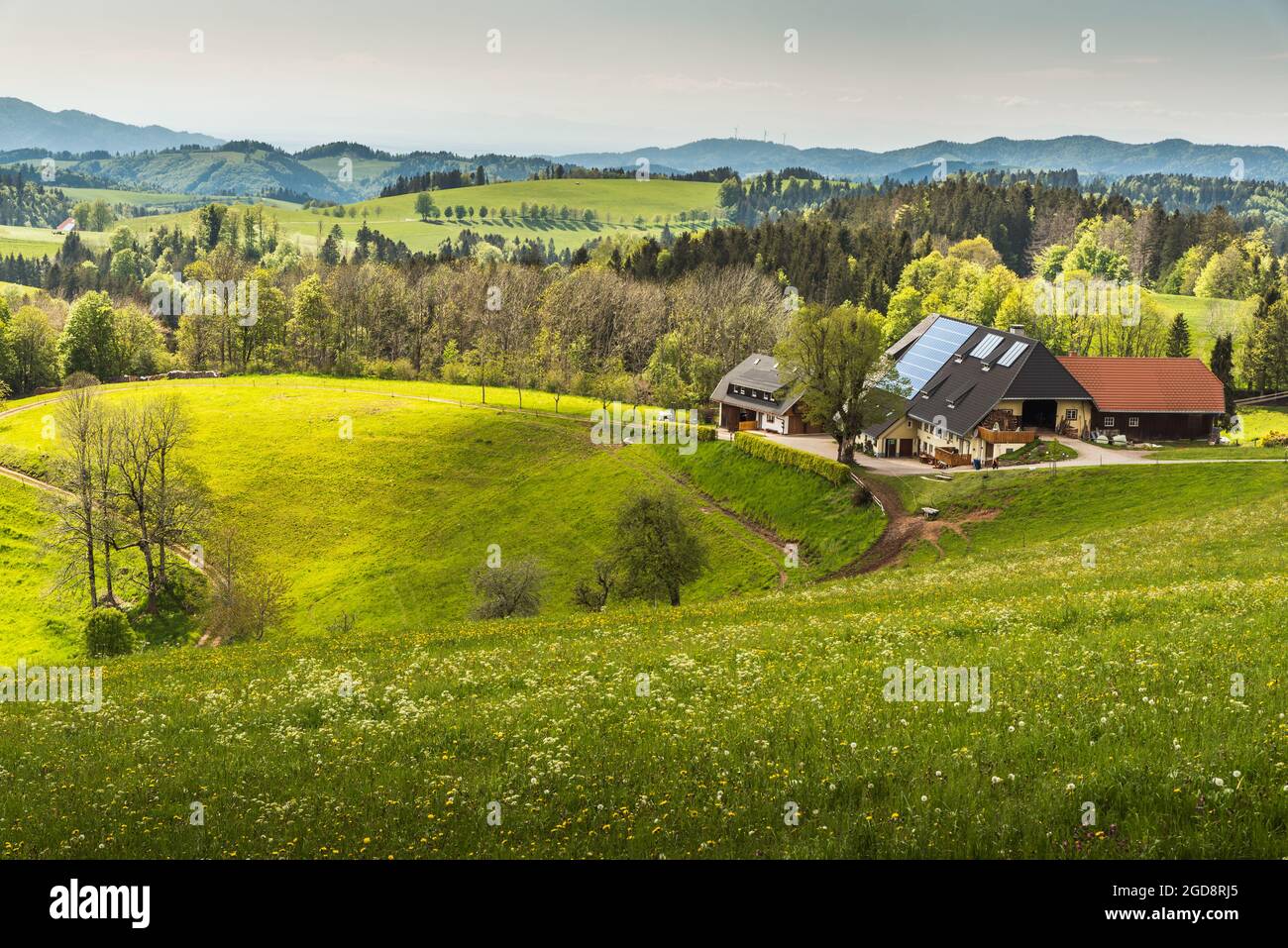 Black forest house hires stock photography and images Alamy