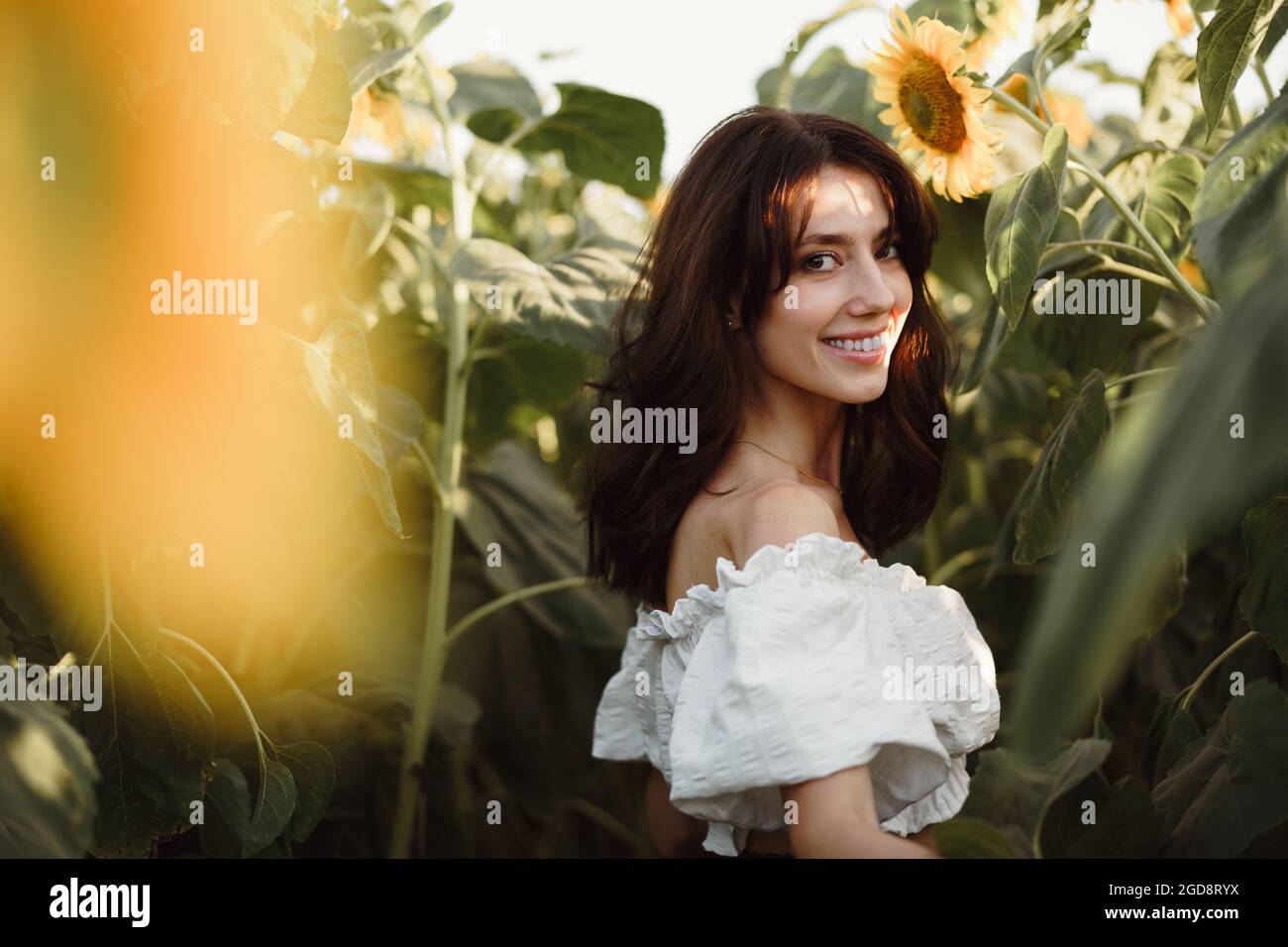 Portrait of beautiful young woman in a field of sunflowers Stock Photo ...