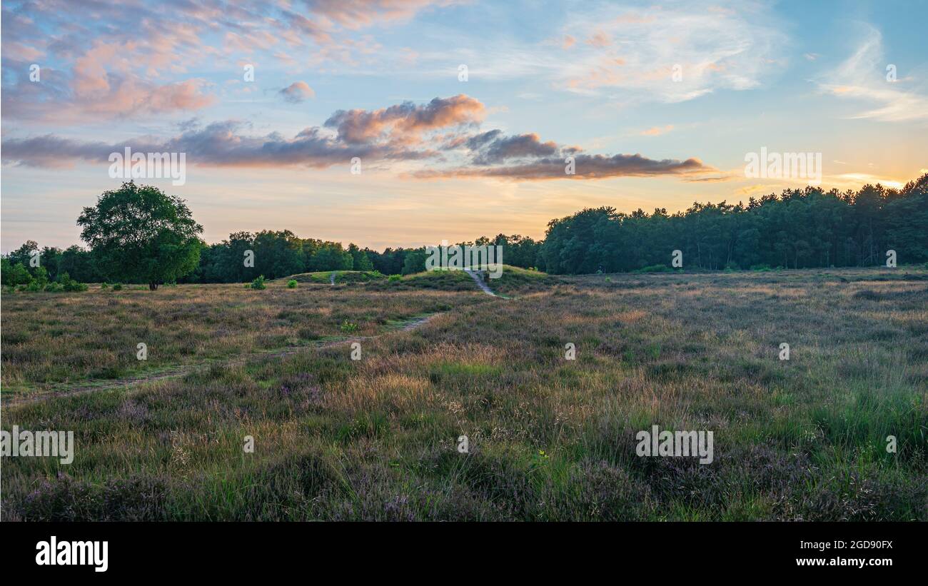 Sunset over two historic burial mounts, beautiful light during golden hour at the zuiderheide, Stock photo, Hilversum, Noord-Holland, The Netherlands Stock Photo