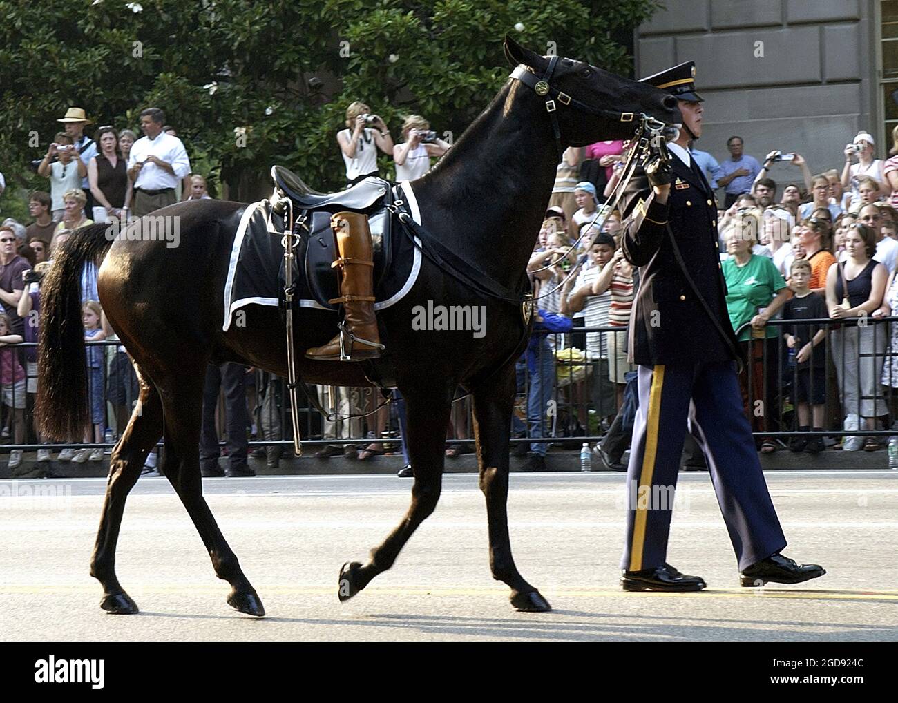 A US Army (USA) Soldier assigned to the 3rd Infantry Regiment Old Guard, leads a riderless horse, with the riding boots of Former US President Ronald Reagan, turned backwards, (a sign of a fallen leader), during the former president's funeral procession down Constitution Avenue, in Washington, District of Columbia (DC).  (US NAVY PHOTO BY PH2 AARON PETERSON 040609-N-5471P-013) Stock Photo