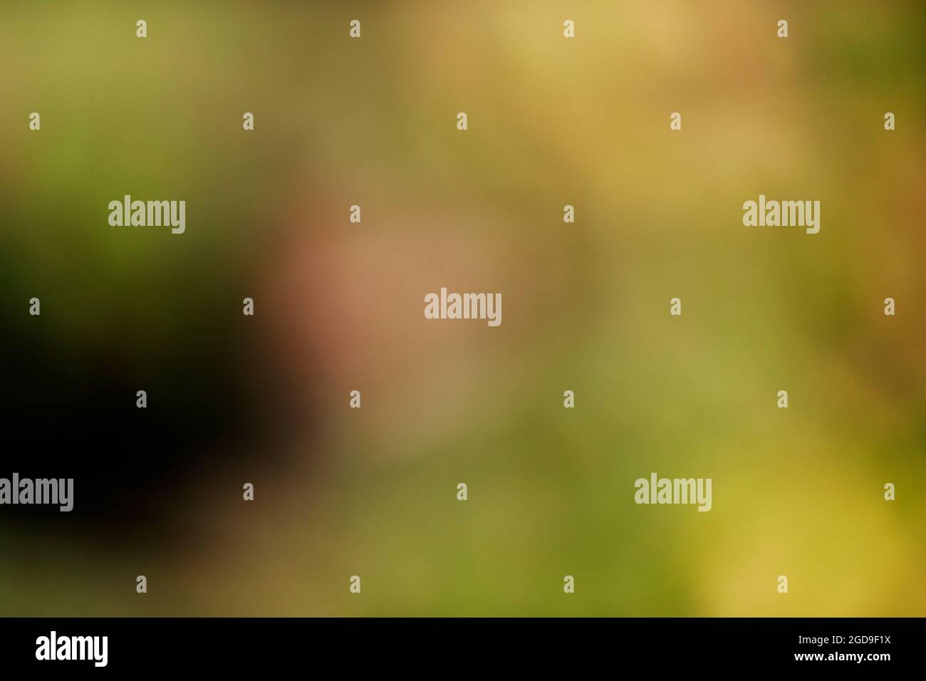 blurred horizontal background in green and brown tones Stock Photo