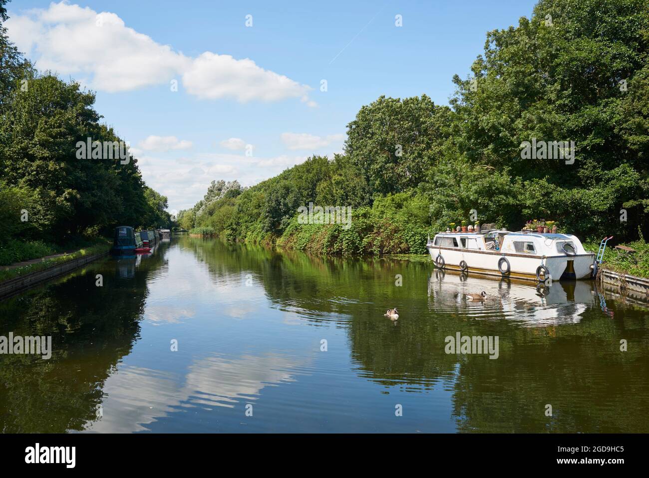 The River Lea Navigation in summertime, near Waltham Town Lock, Hertfordshire, Southern England Stock Photo