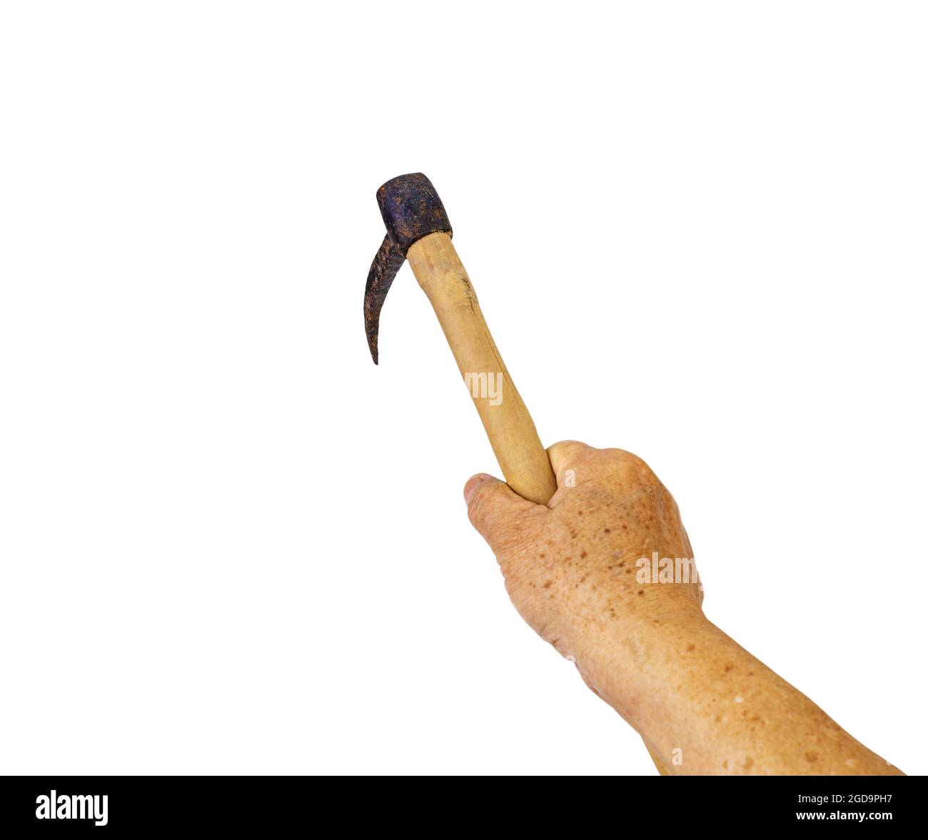 Handling old rusty steel elephant hook with wooden grip isolated on white Stock Photo