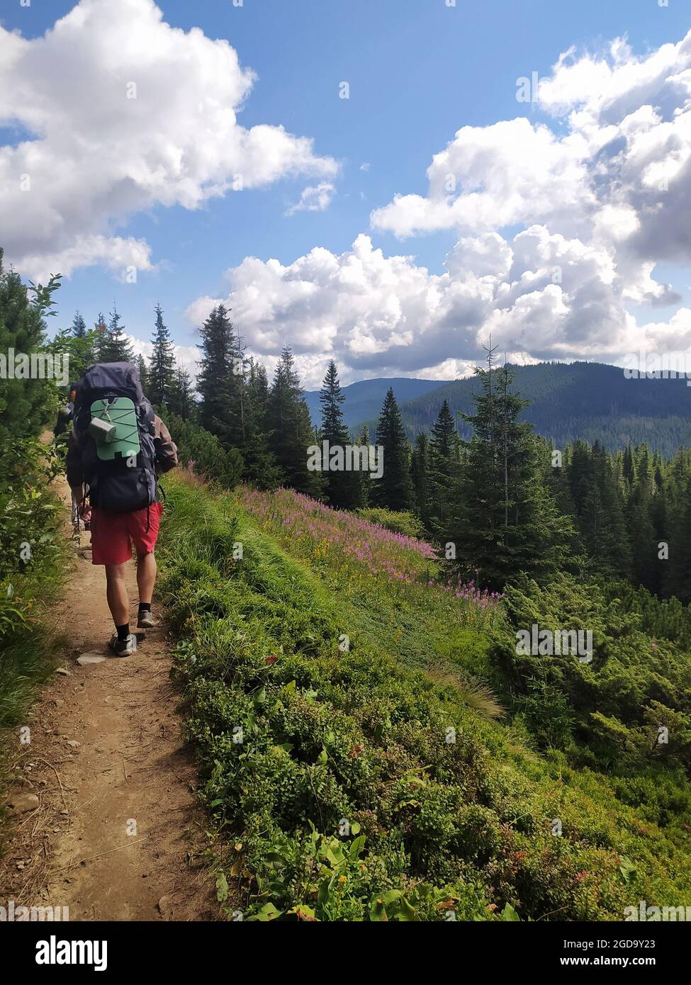 Active man large backpack walks hi-res stock photography and images - Alamy