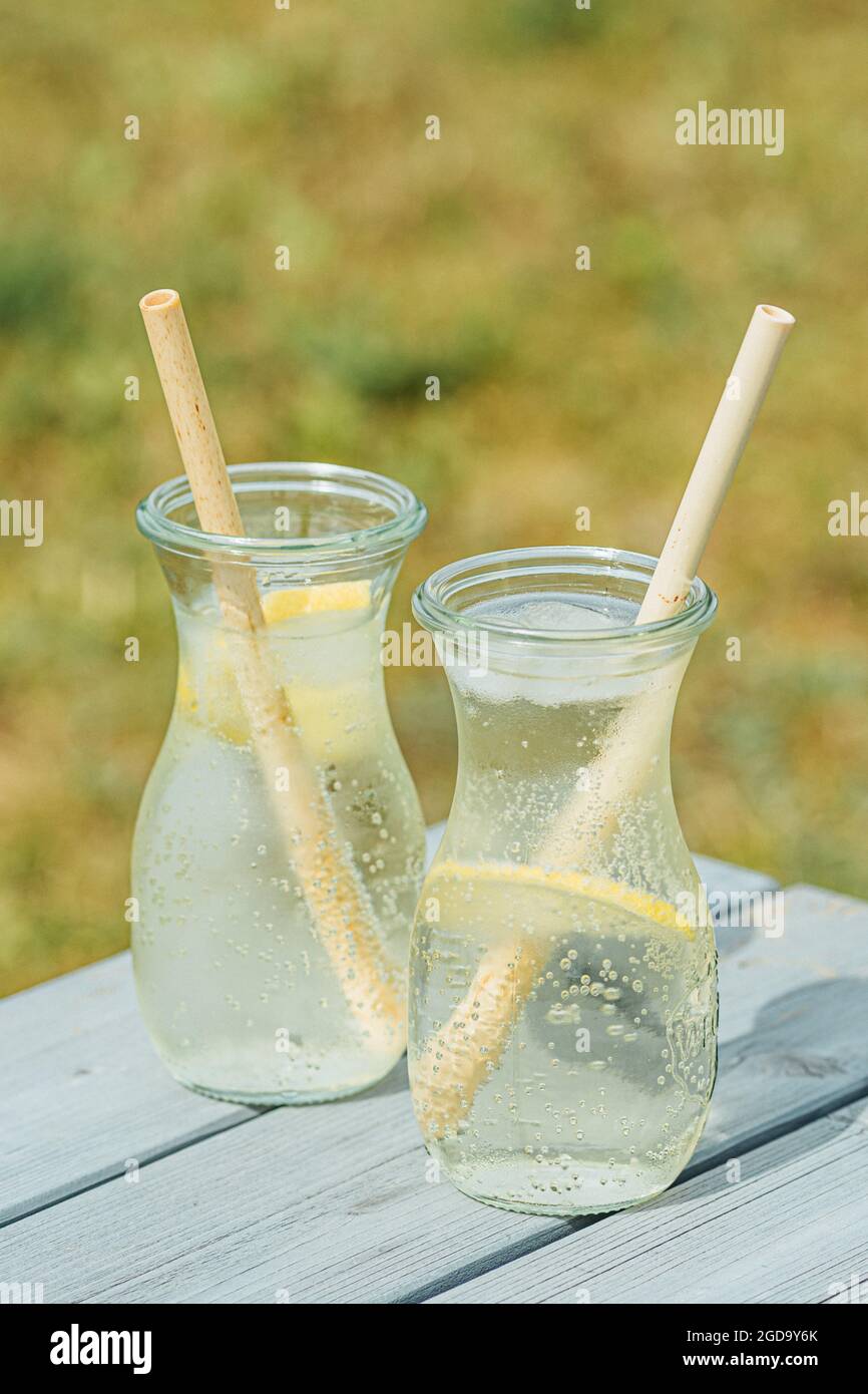 https://c8.alamy.com/comp/2GD9Y6K/fresh-water-with-slice-of-lemon-in-a-glass-jugs-with-fully-biodegradable-and-organic-bamboo-straws-vertical-2GD9Y6K.jpg