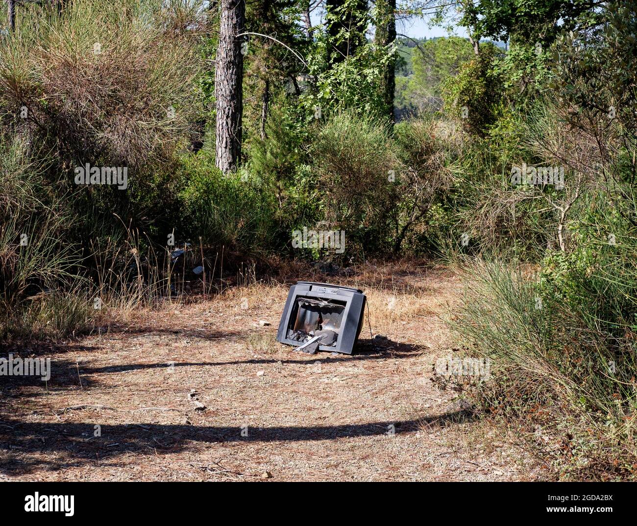 Old broken television abandoned in the bush, Italy Stock Photo