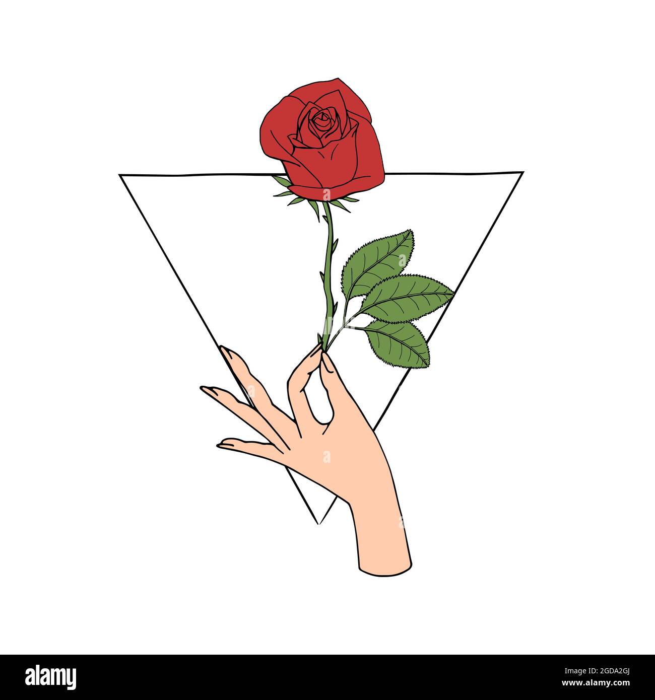 Rose drawing stock vector. Illustration of decorative - 12387187-saigonsouth.com.vn