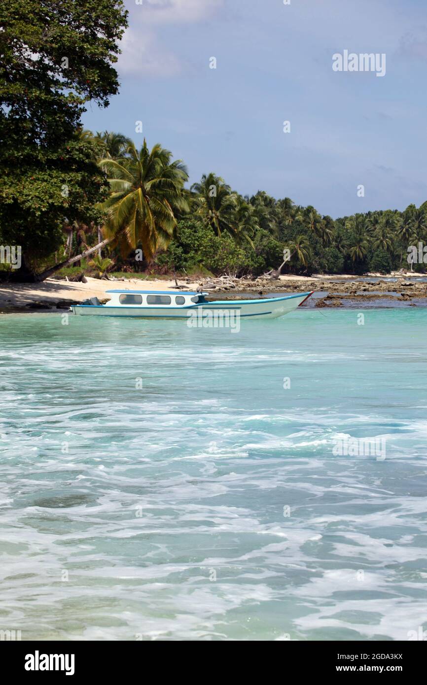 Tropical beach scene - Mentawai Islands Indonesia This remote area of Indonesia is home to some beautiful beaches and some of the best surf breaks in Stock Photo