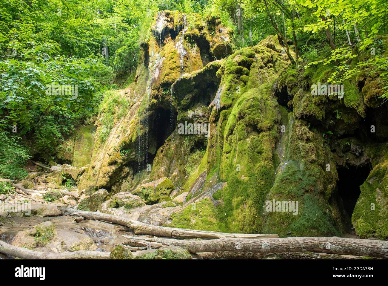 Romania, Caras-Severin county, Cheile Nerei, Beusnita Waterfall in National Park, almost no water, dried Stock Photo