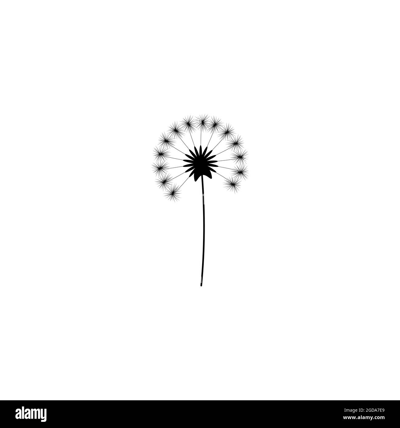 Black flat icon of dandelion flower with curved sprig. Big Bloom with big shabby petals. Isolated on white. Vector illustration. Eco style. Nature sym Stock Vector