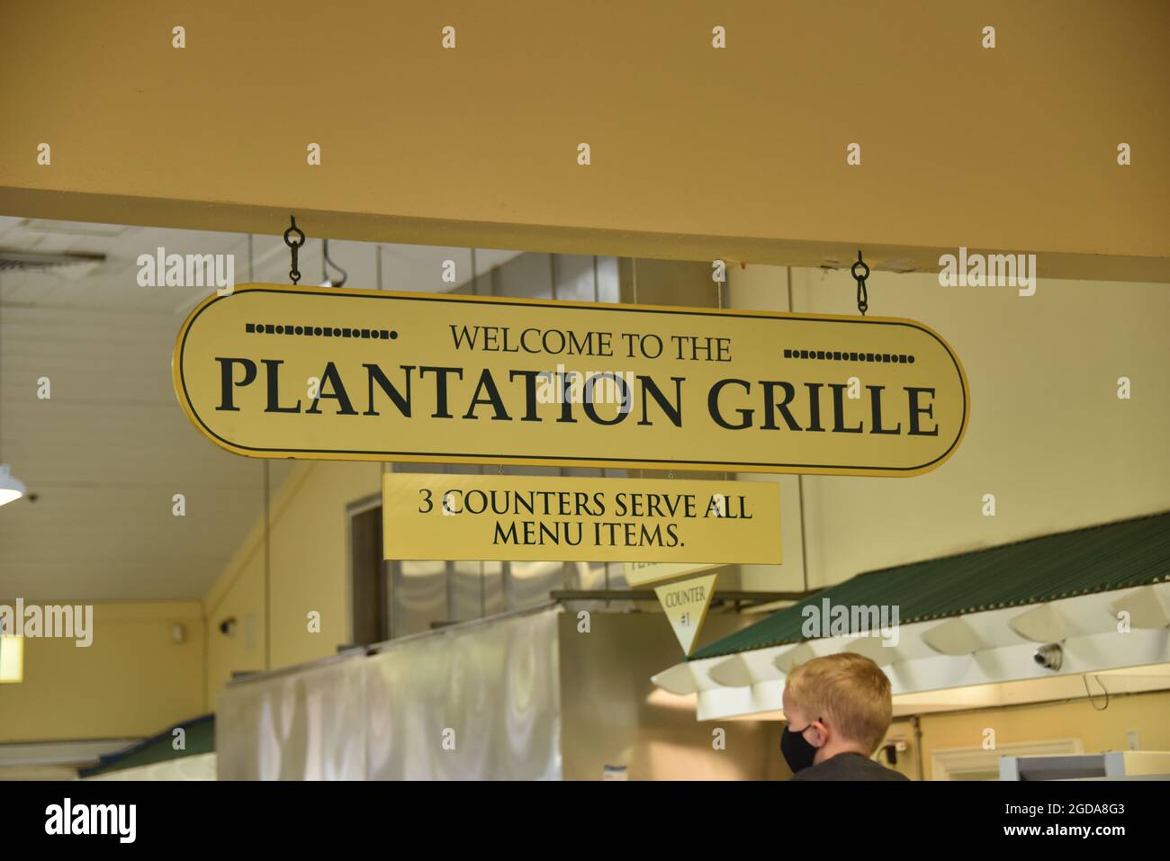 Oahu HI U.S.A. 6/3&6/2021. Dole Plantation. Gardens. Pineapple Express