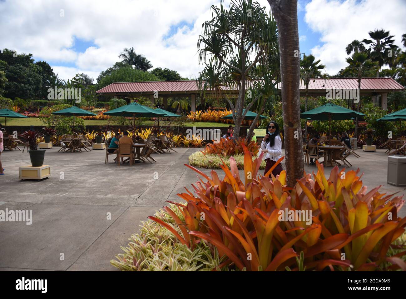 Oahu HI U.S.A. 6/3&6/2021. Dole Plantation. Gardens. Pineapple Express