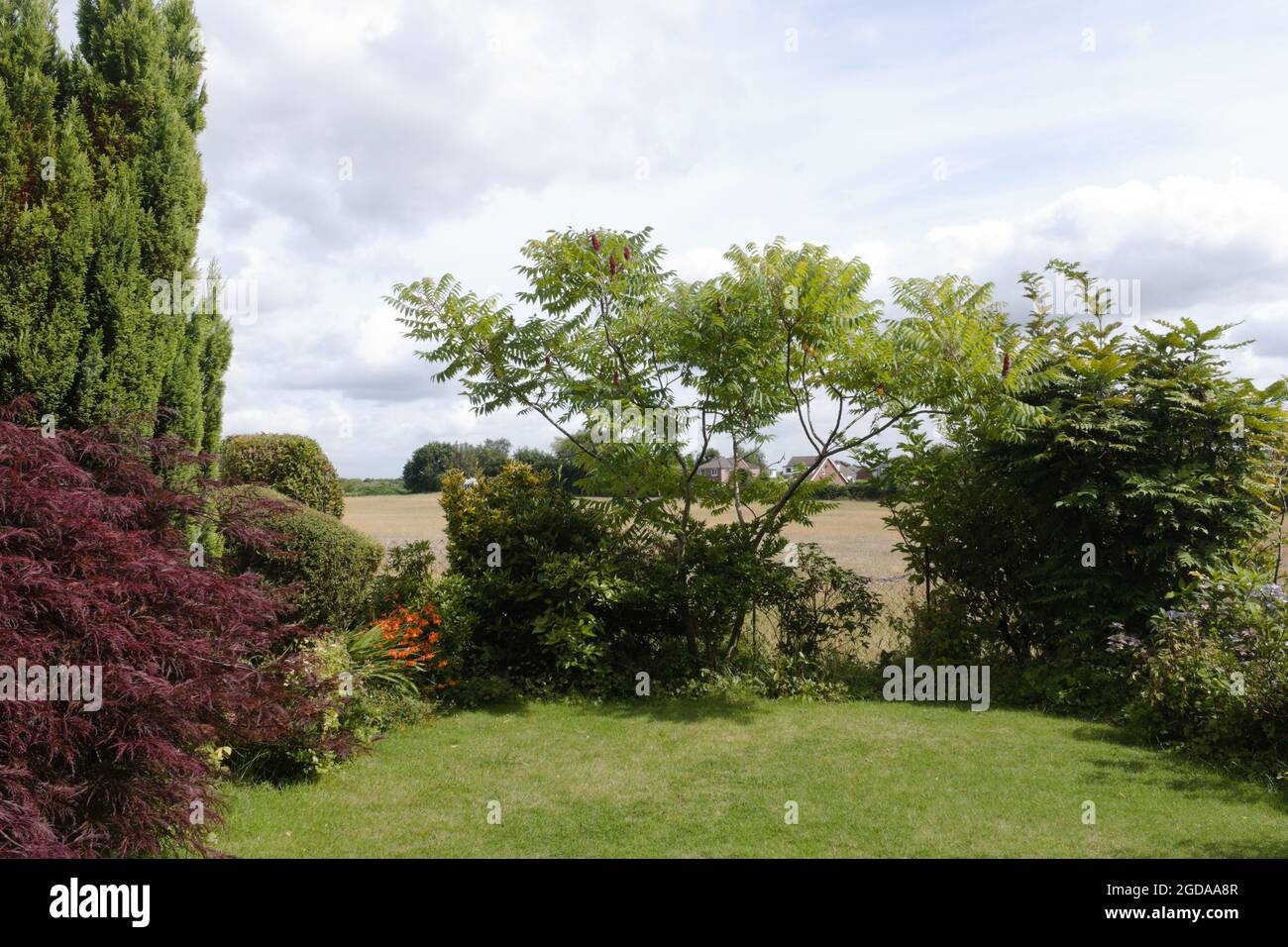 Quaint picturesque English garden with rural views and blue sky with copy space Stock Photo