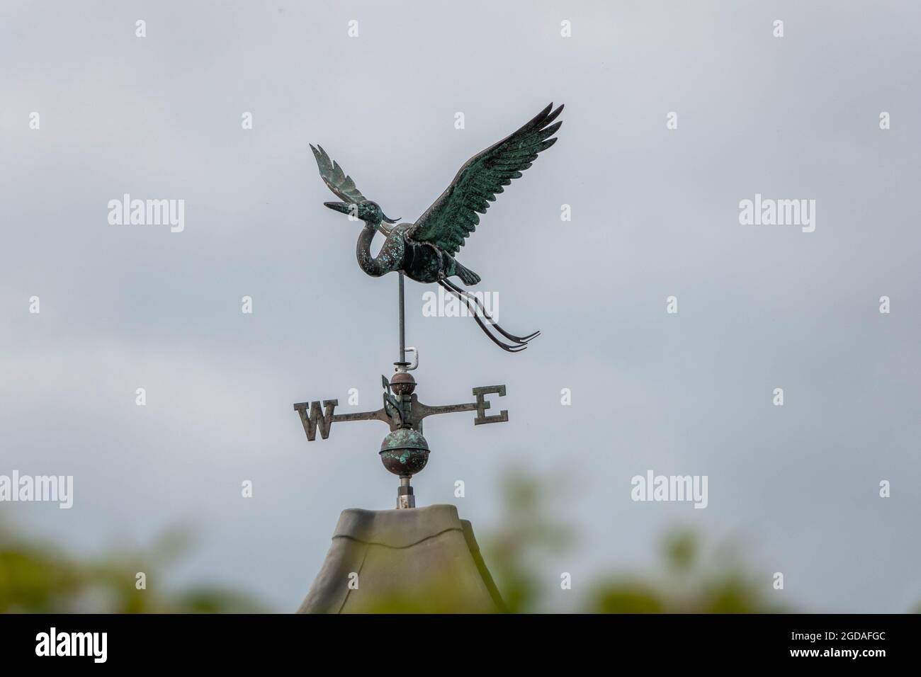 Instrument used for showing the direction of the wind hires stock