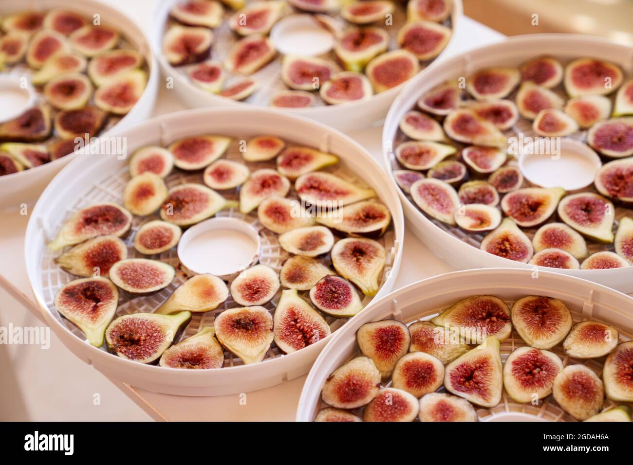 Fruit drying process on plates. Close up Stock Photo - Alamy