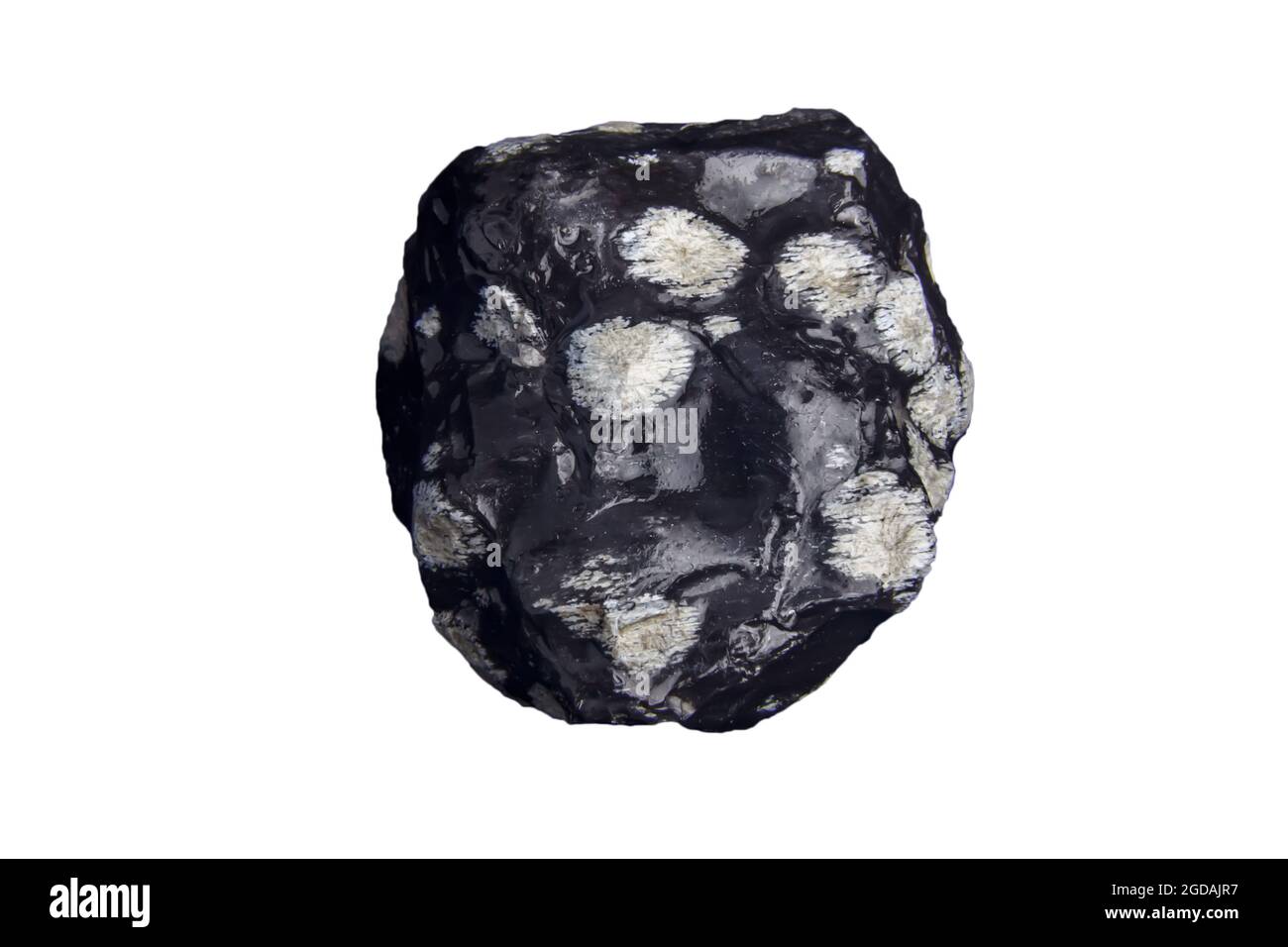 Raw Unpolished Snowflake Obsidian Isolated On A White Background Stock Photo Alamy