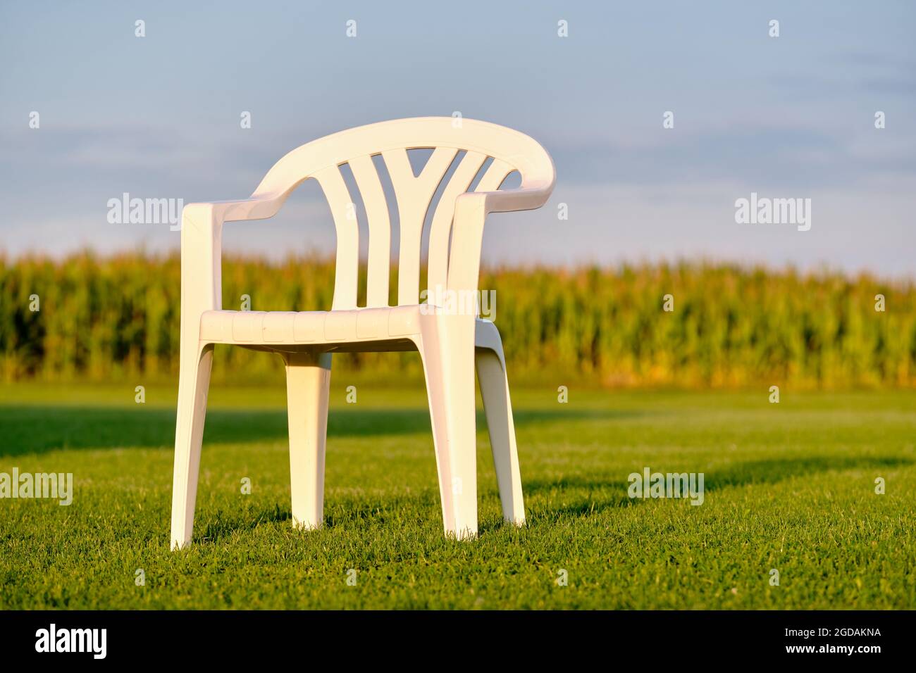 Empy white plastic garden chair standing on a green lawn in front of a cornfield in evening light. Seen in Bavaria, Germany in August. Stock Photo