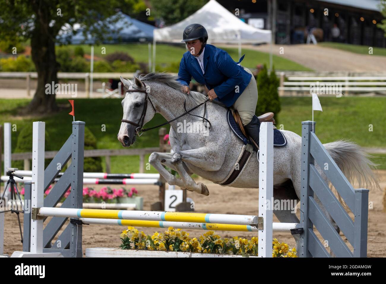 Horse and rider jumping a fence at a horse show. Stock Photo
