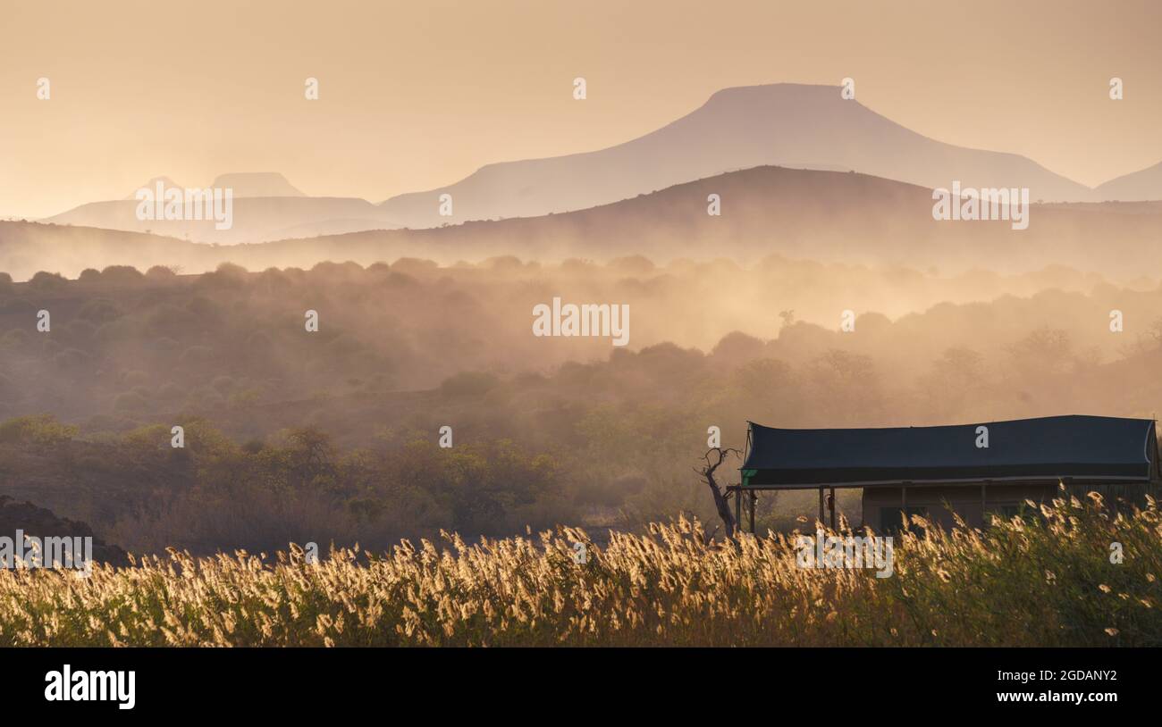 Grasses of africa hi-res stock photography and images - Alamy