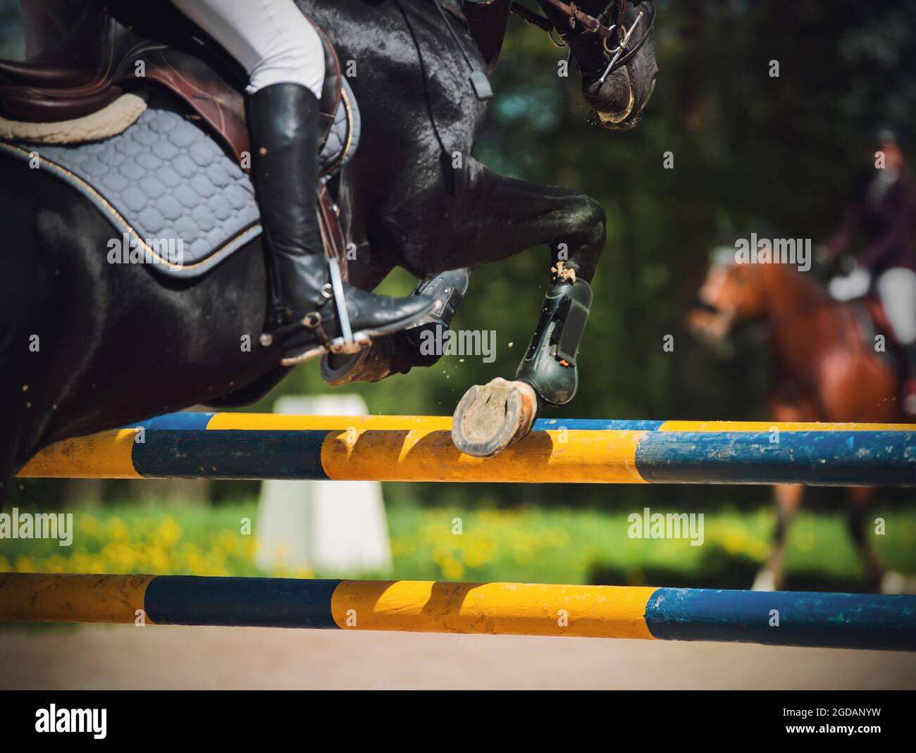horse jumping high without rider