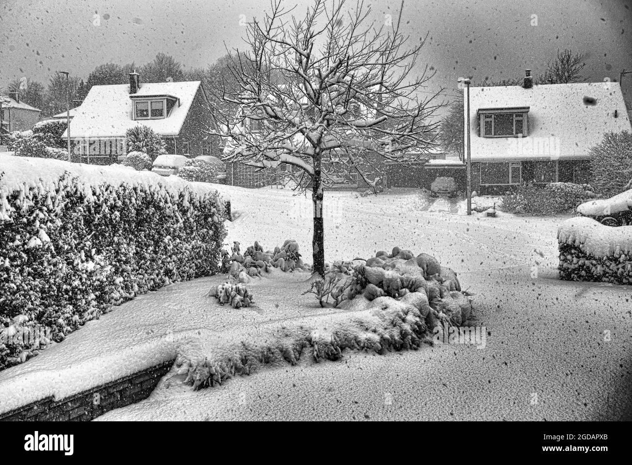 Digitally enhanced, manipulated, Snowy scene in housing estate, heavy snowfall, cars snowed in, covered in snow, winter scene,  Scotland, UK. Stock Photo