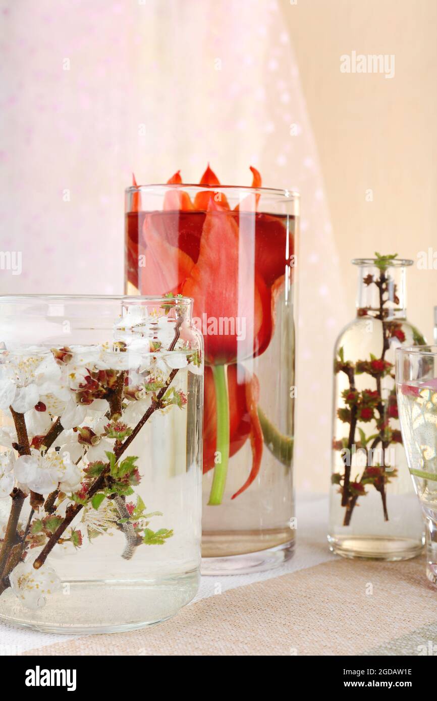 Spring flowers submerged in water close up Stock Photo Alamy