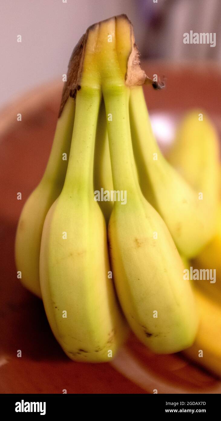 Close up on a bunch of bananas Stock Photo