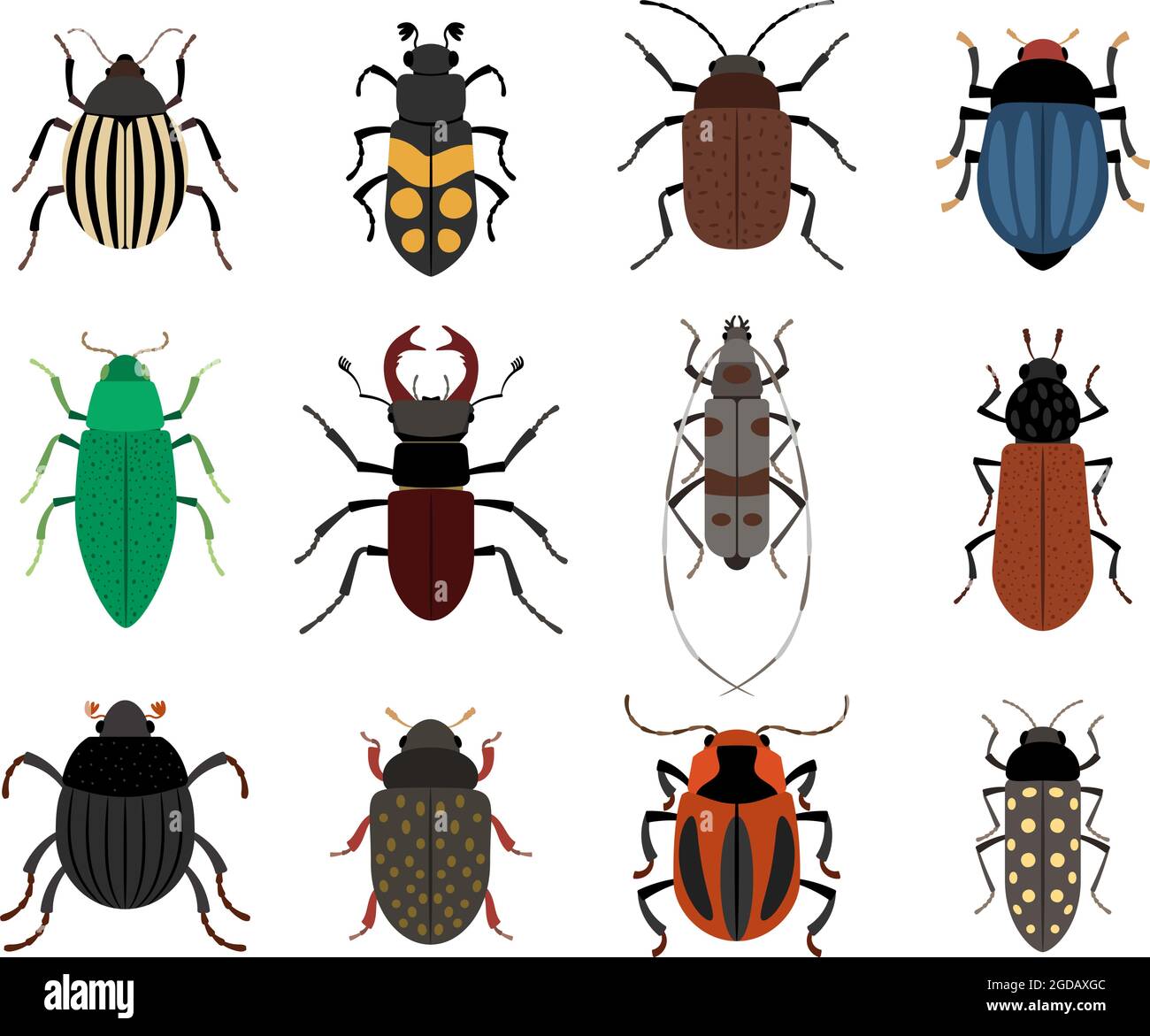Collection of cute beetles Stock Vector