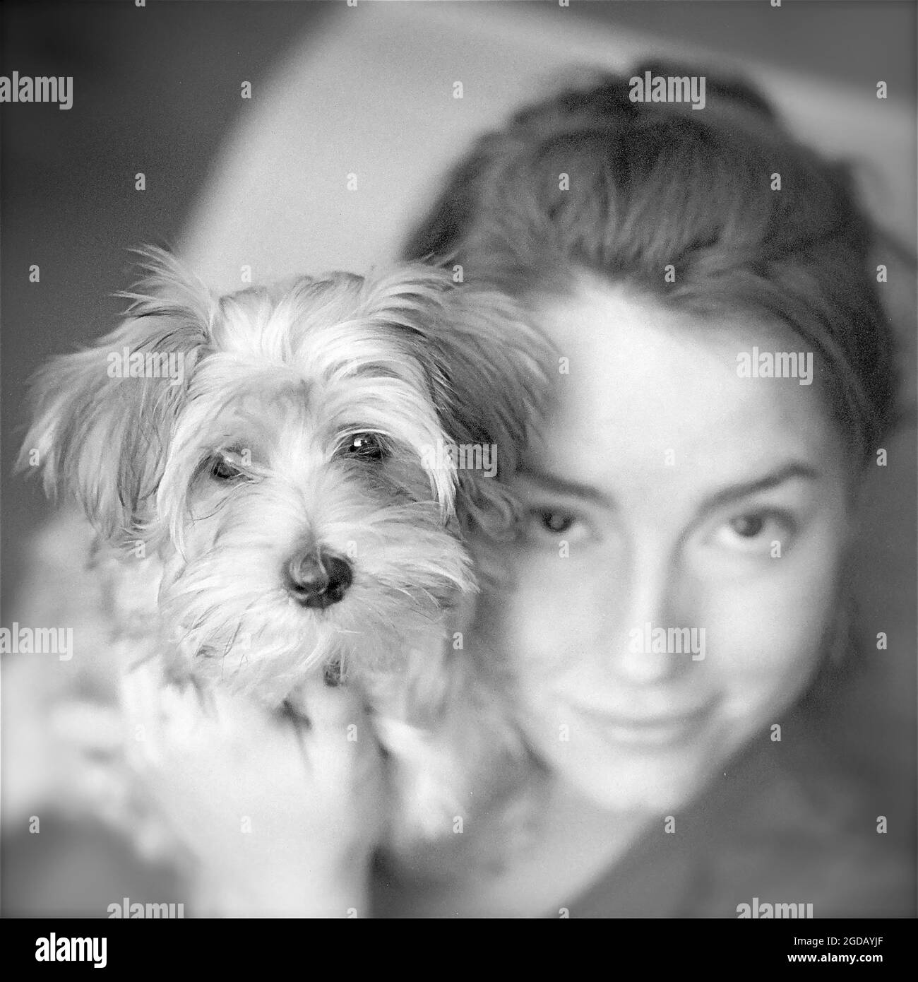 Woman with small dog looking at the camera Stock Photo