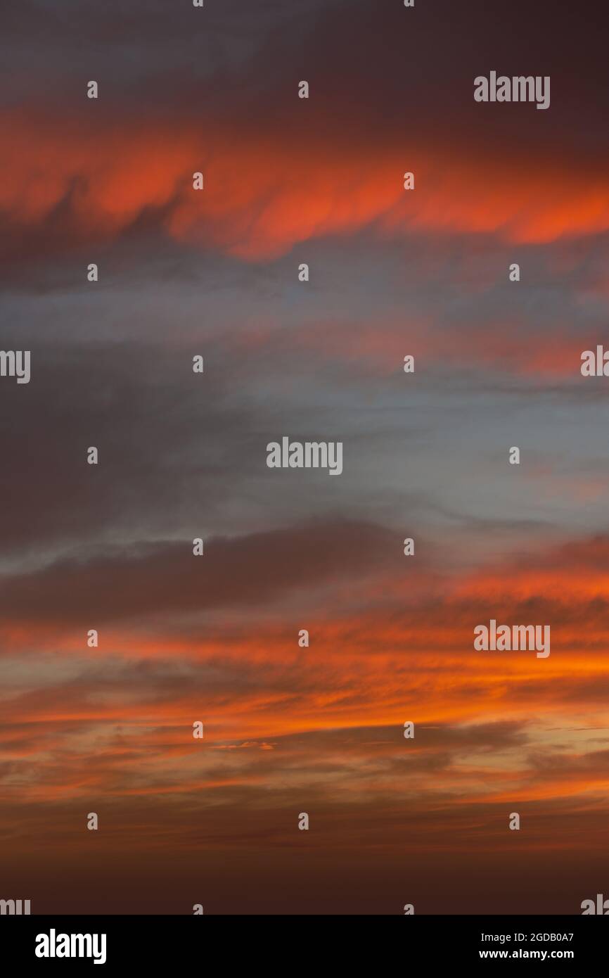 Sunrise sky with red color fire on a cloudy winter day. Stock Photo