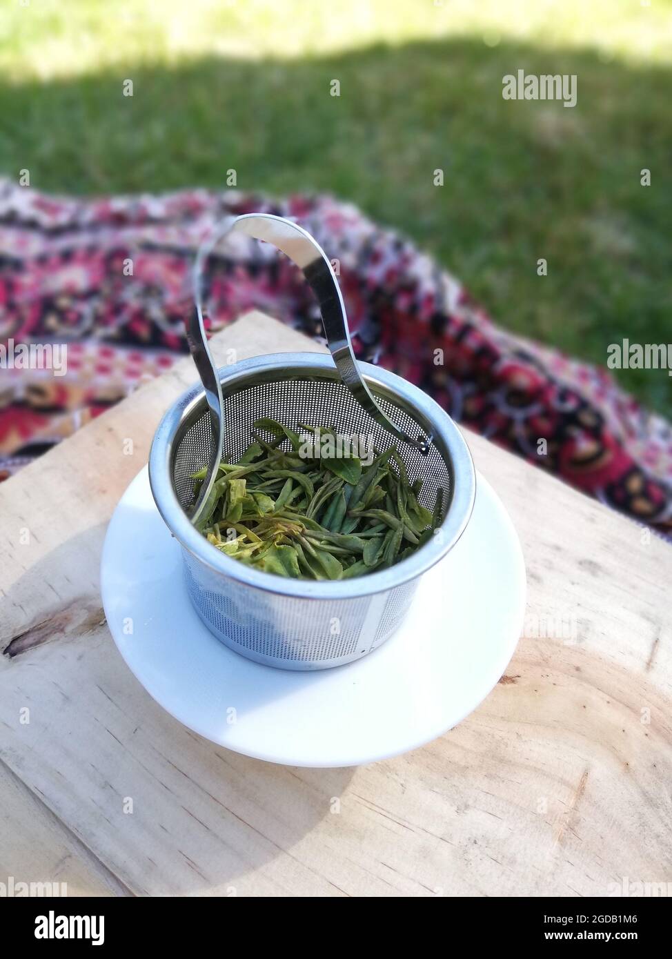 Huang Shan Mao Feng fresh tea leaves Stock Photo